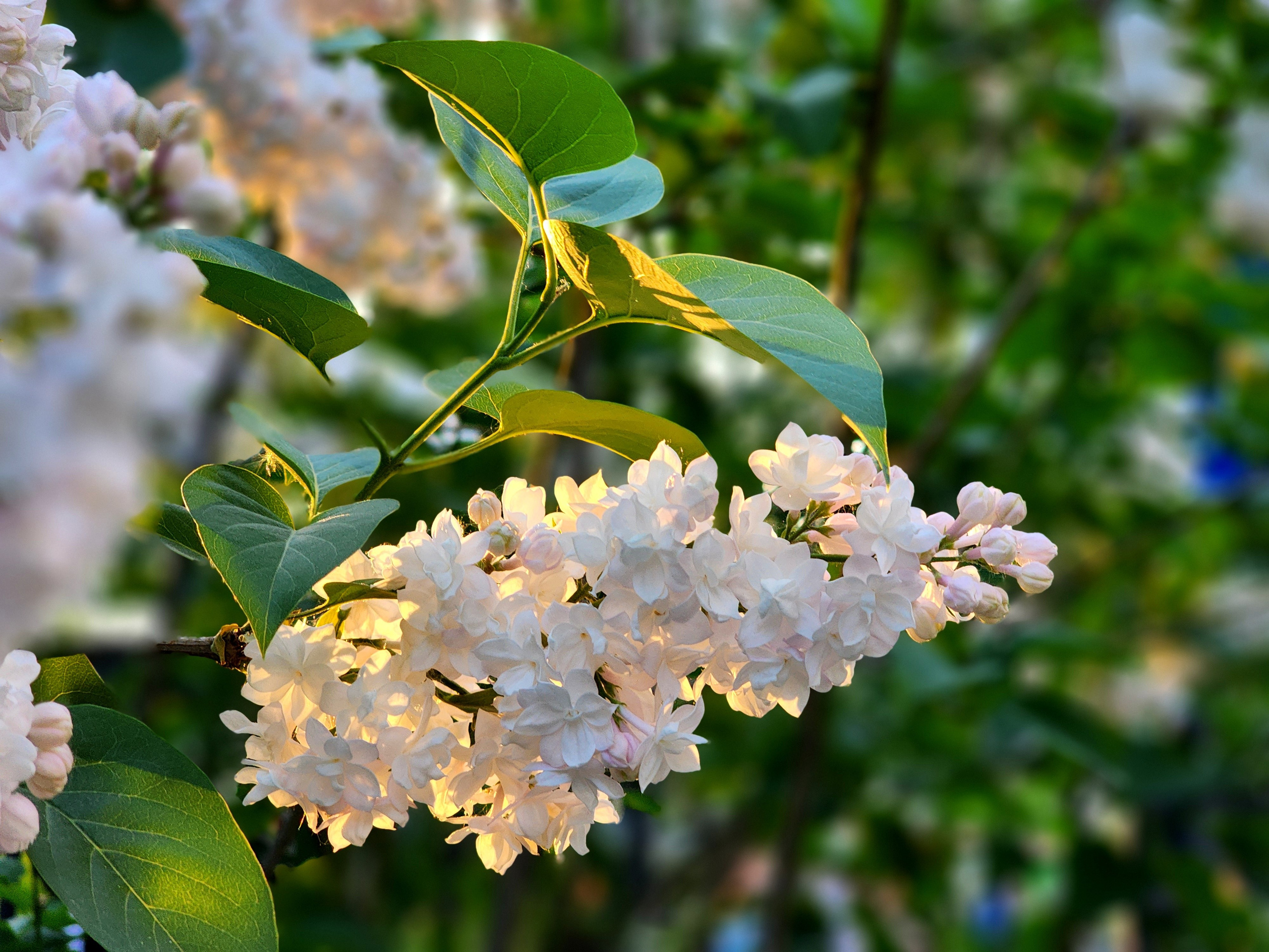 Репортажный фотограф Константинов Сергей
