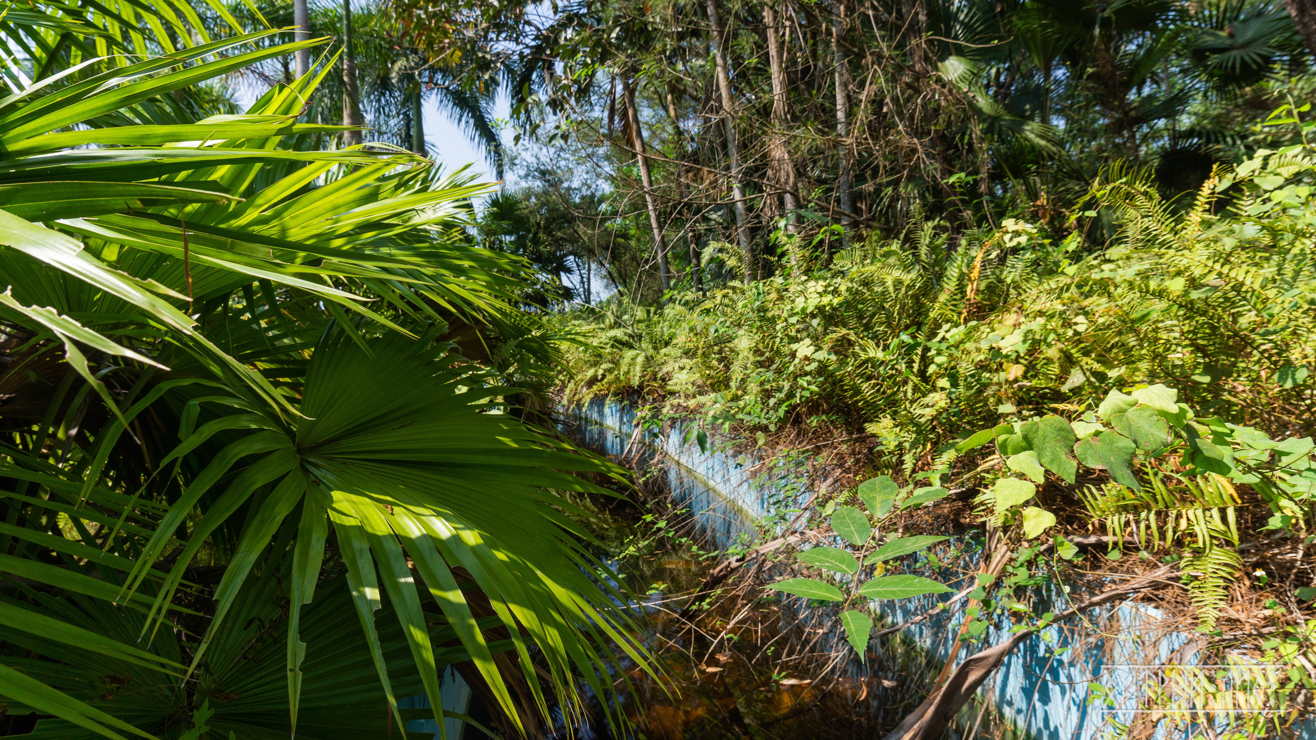 Вьетнам. Фотограф-путешественник Самойлов Максим «Sly Fox»