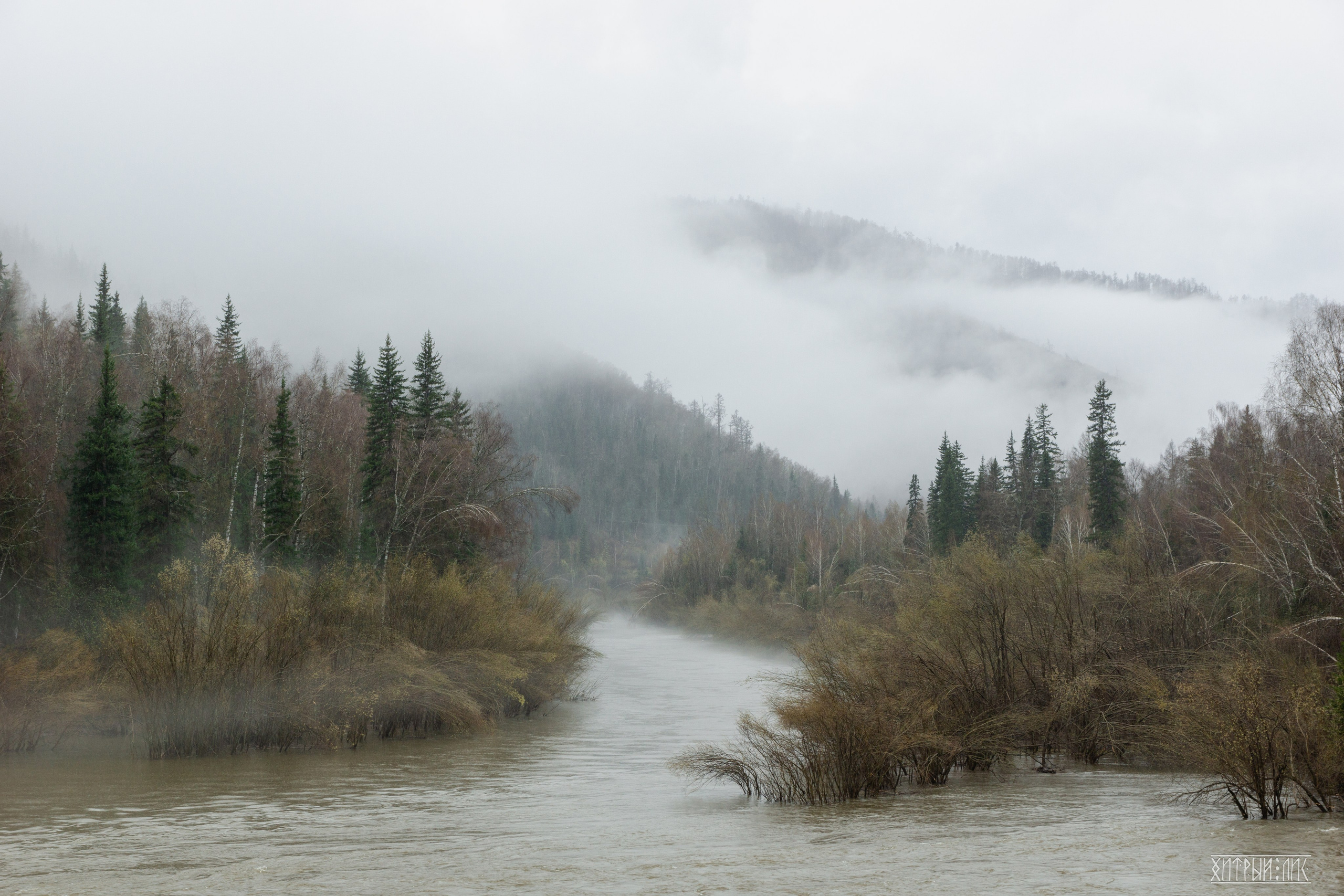 Алтай. Фотограф-путешественник Самойлов Максим «Sly Fox»