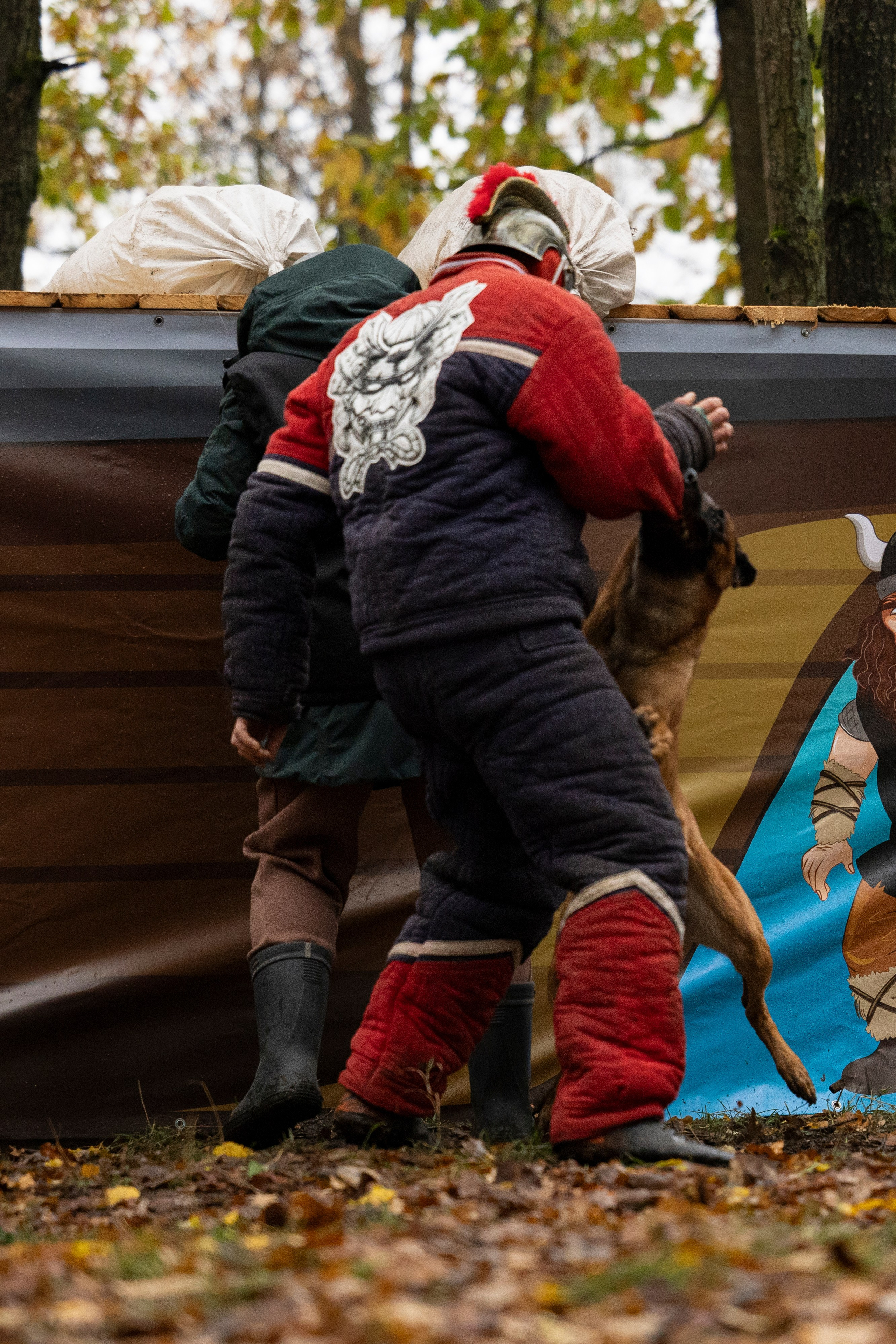 Соревнования по Мондьорингу г. Вологда. Фотограф-анималист Анна Маринич