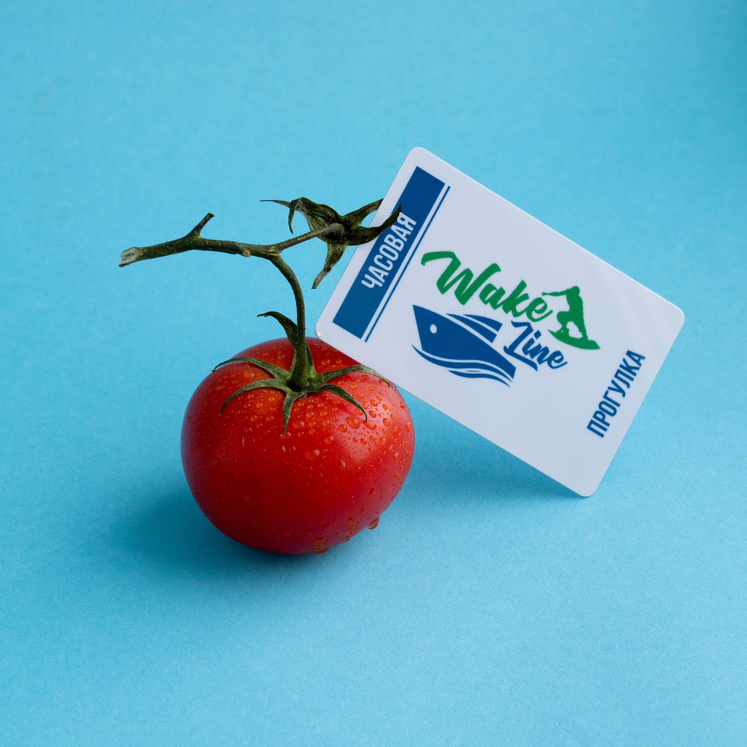 Контент. Семейный фотограф в Красноярске Лизоркина Вера