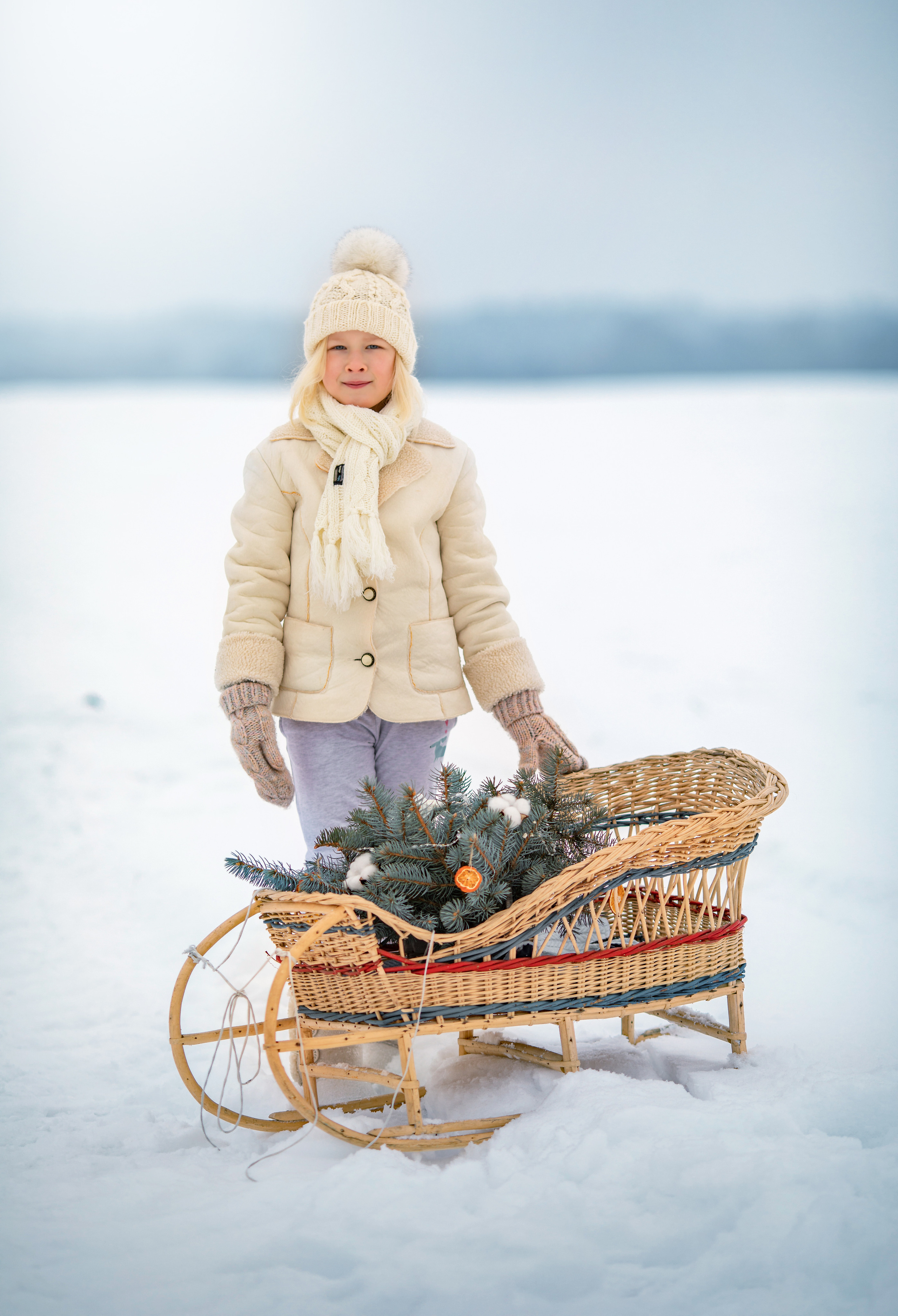 В канун нового года. Olga.filippova.photo