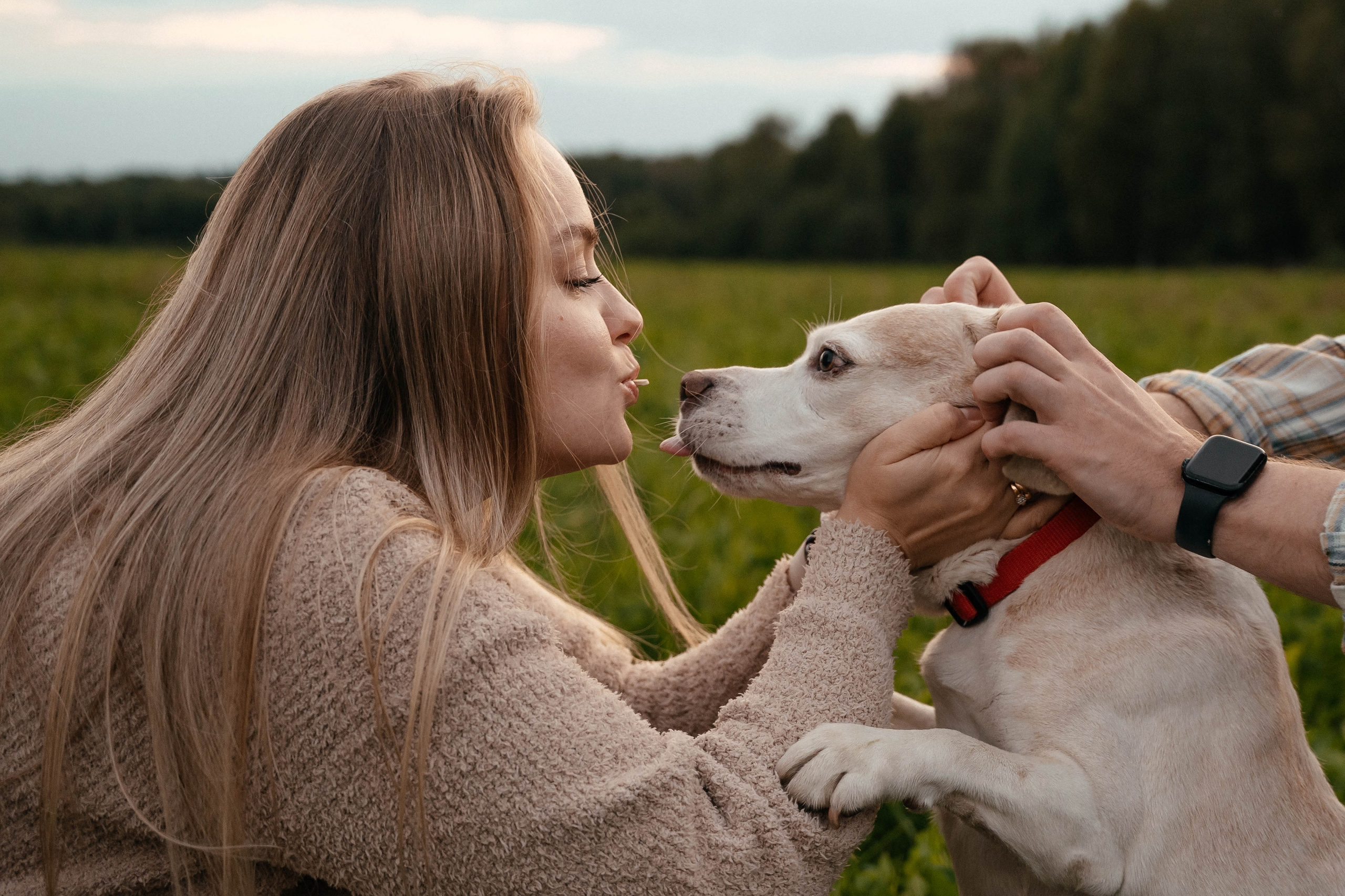 Съёмка love story для Дарьи и Андрея. Свадебный и семейный фотограф г. Ярославль Савинская Анастасия