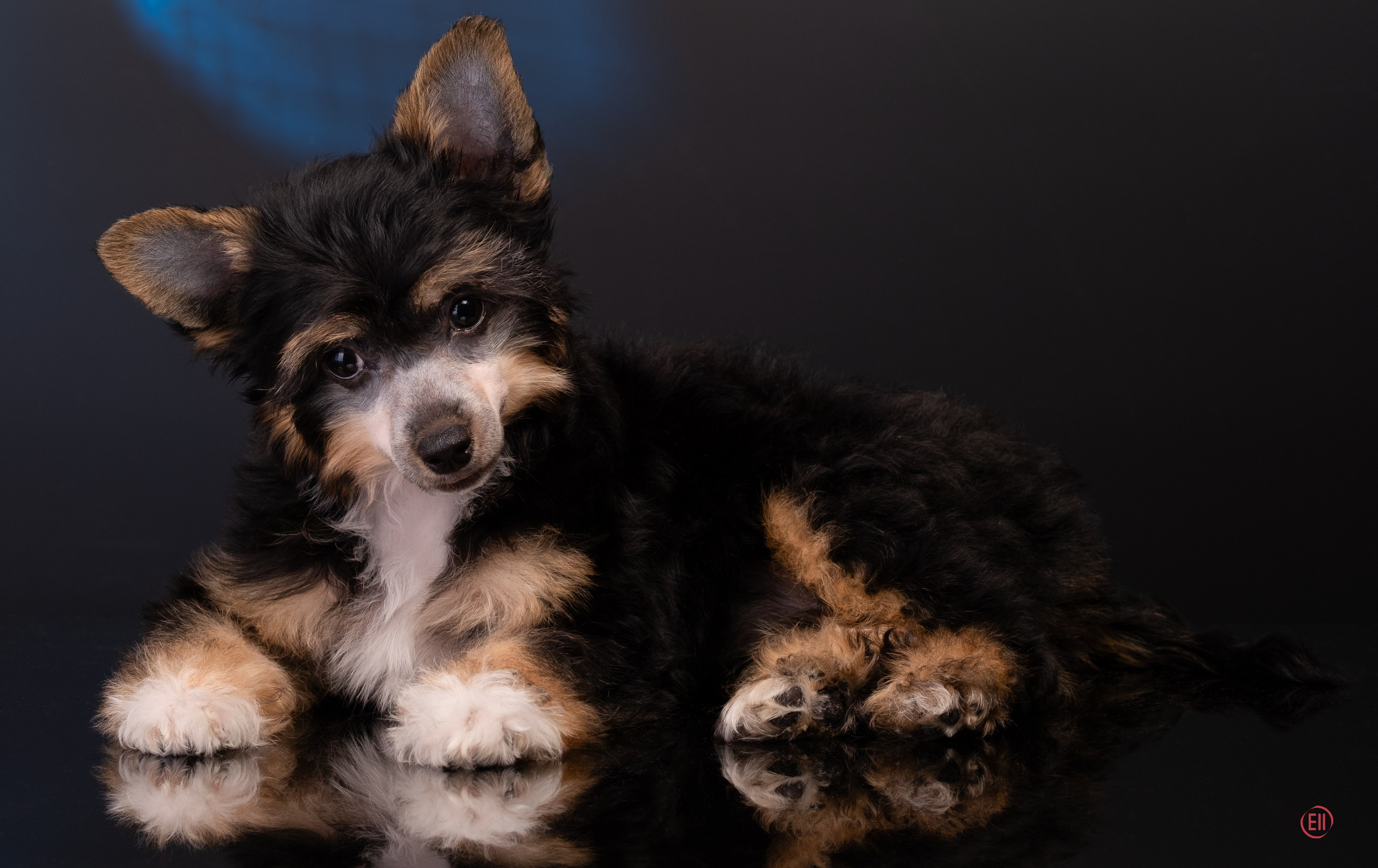 07.06.2025 Синяя фотосессия. Фотограф в Москве