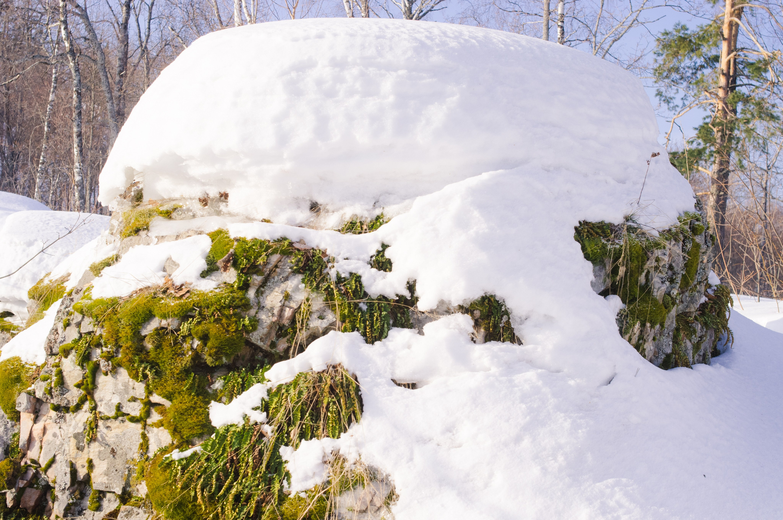 Фото с походов на Айгир — Время приключений