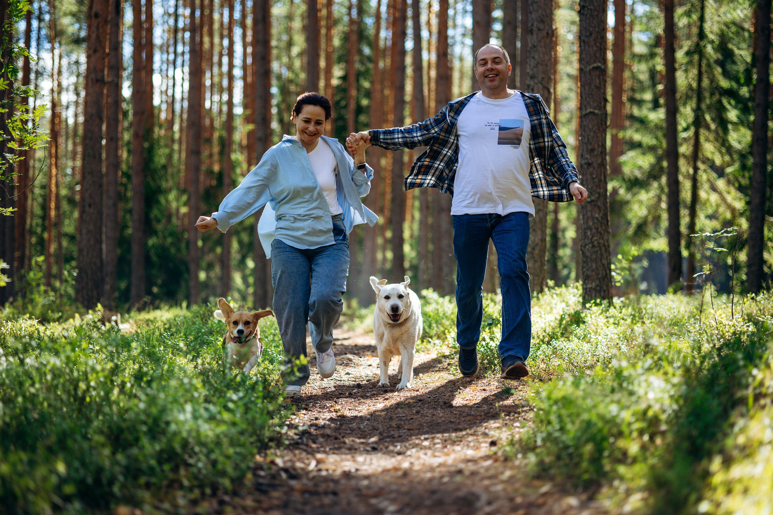 Котофеи и их семья. Фотограф — Анималист | Санкт-Петербург
