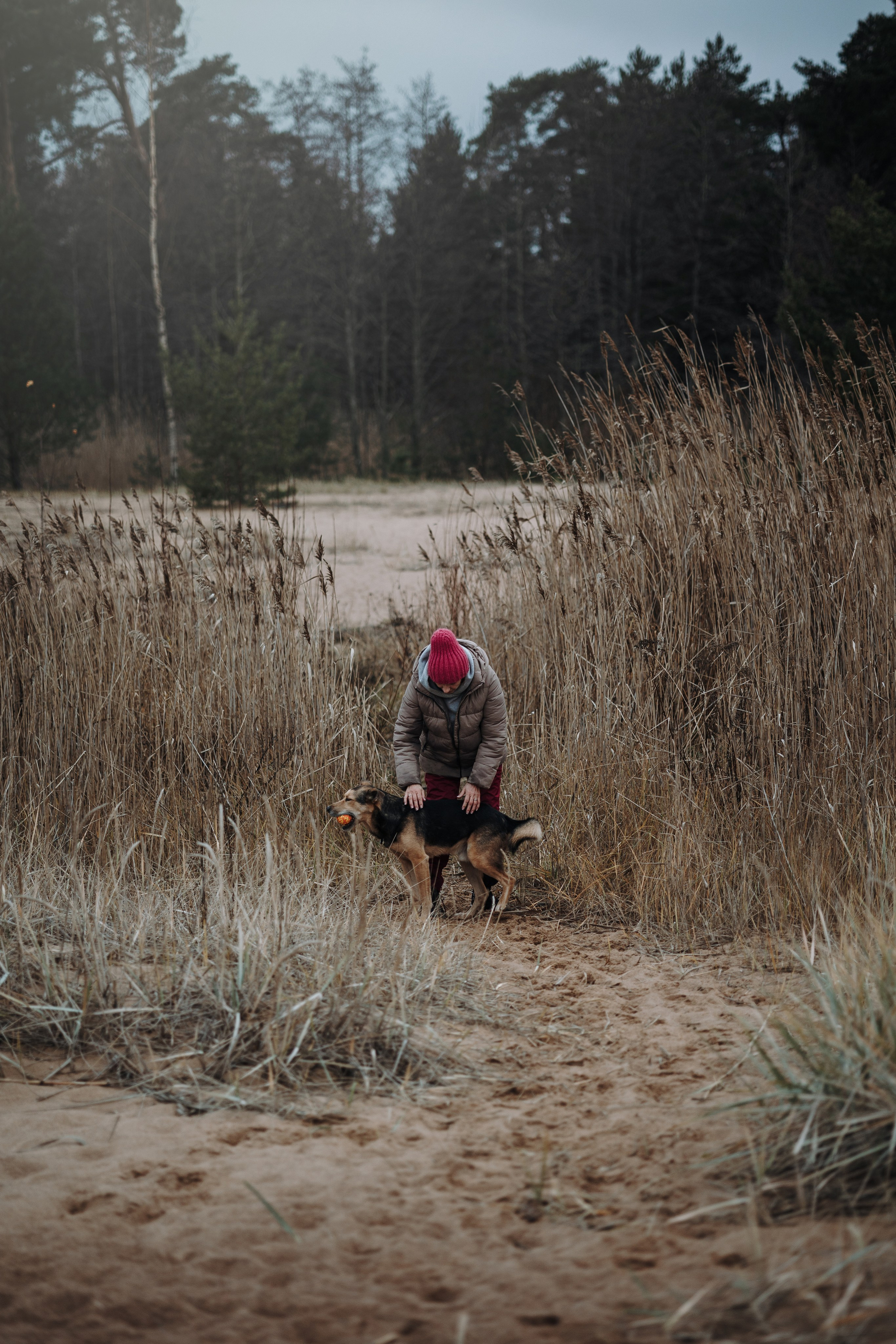 Наталья и Того. Фотограф — Анималист | Санкт-Петербург