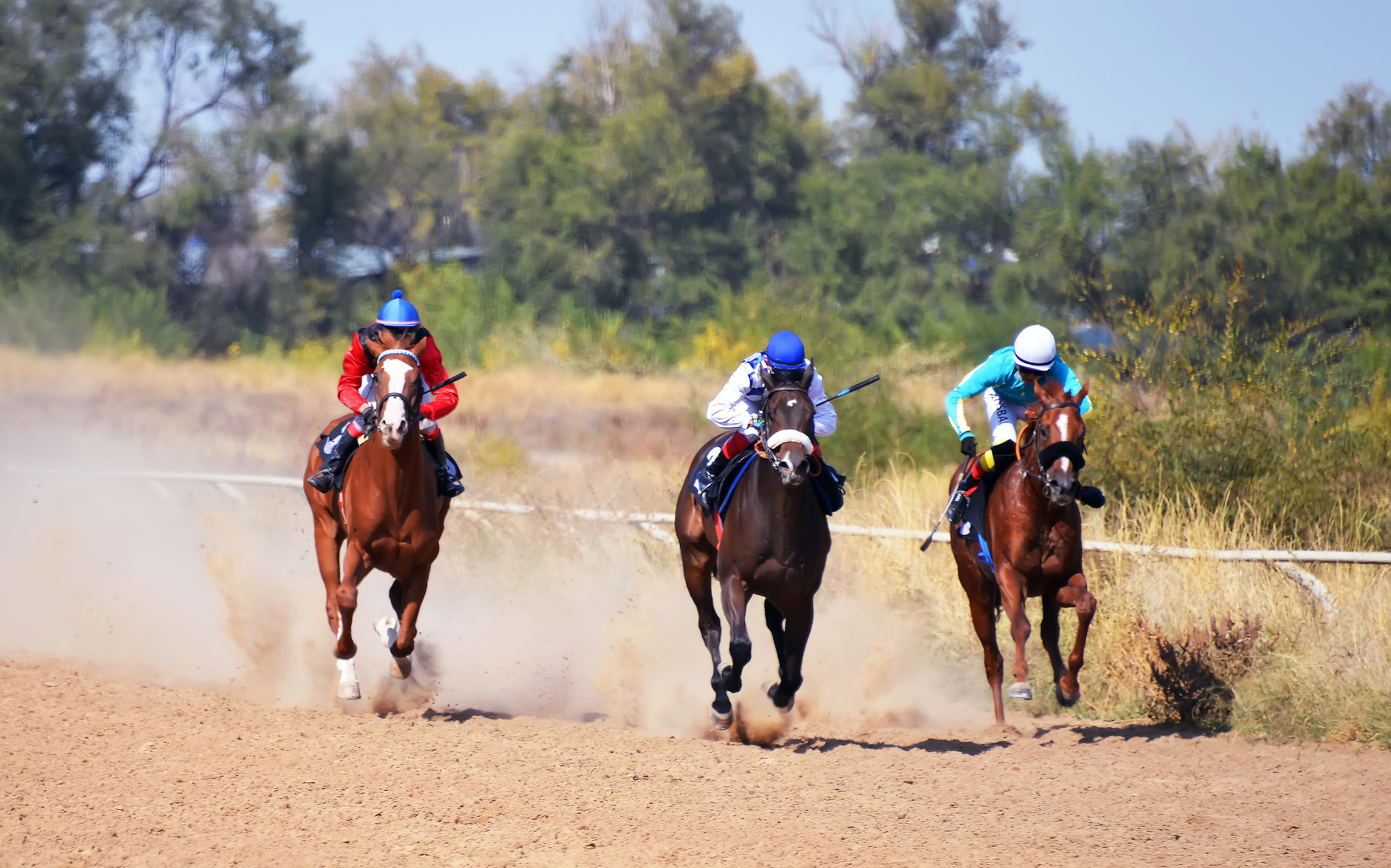 Скачки. Фотосъёмка. Фотограф Сергей Авдеев-семейный и детский фотограф в Алматы