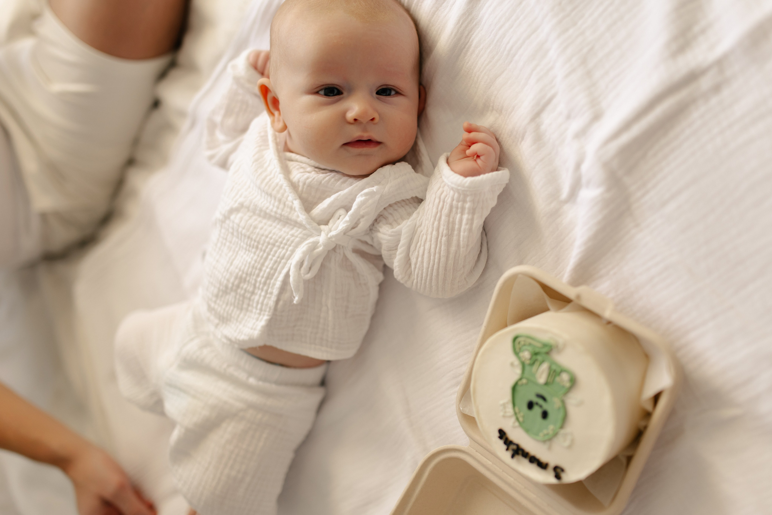 Про маленького дракончика. Брысина Алёна/ фотограф Петрозаводск, Карелия