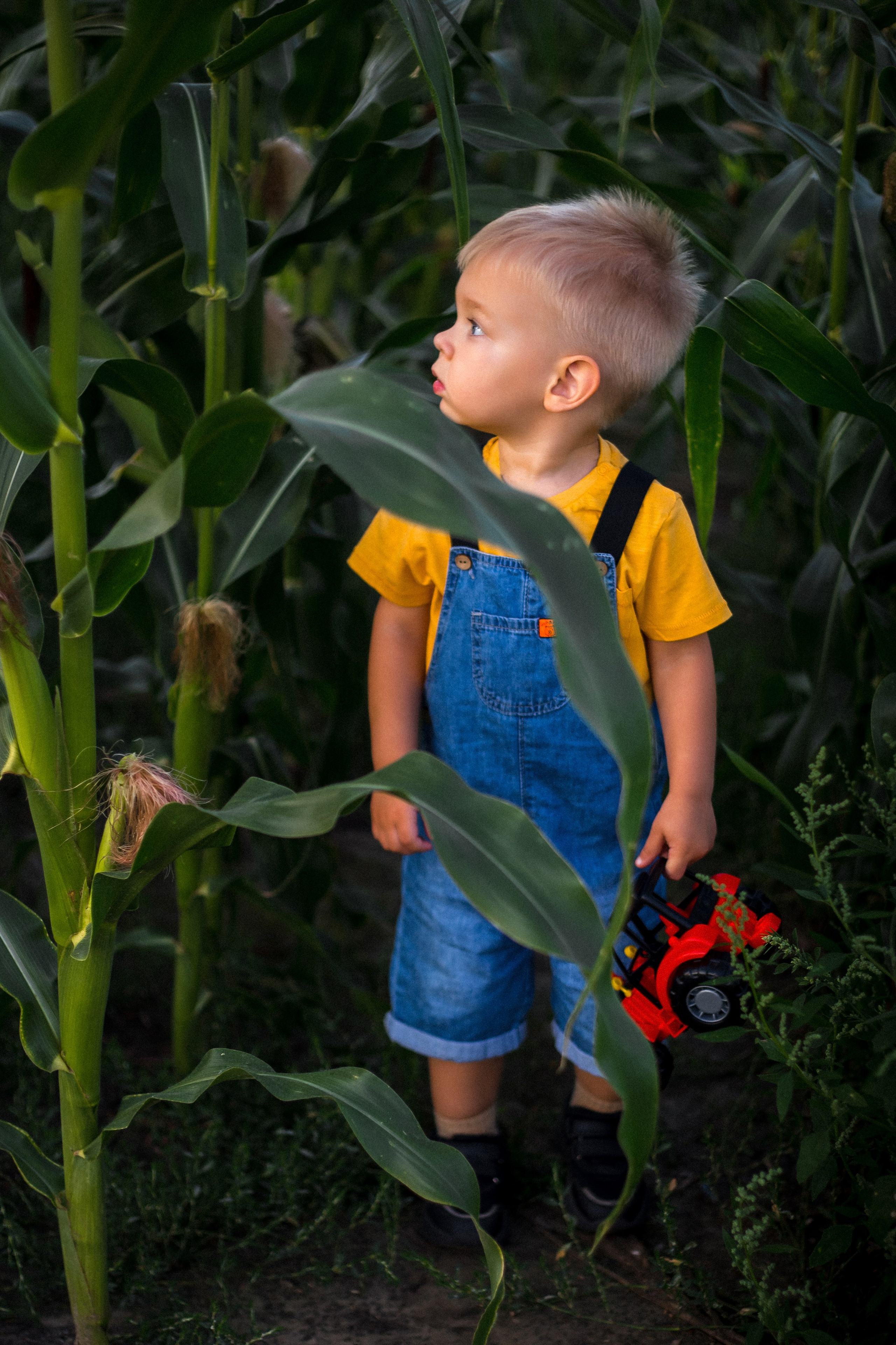 Миша и Маша. Портретный, семейный, свадебный фотограф в Брянске Маргарита Василькова