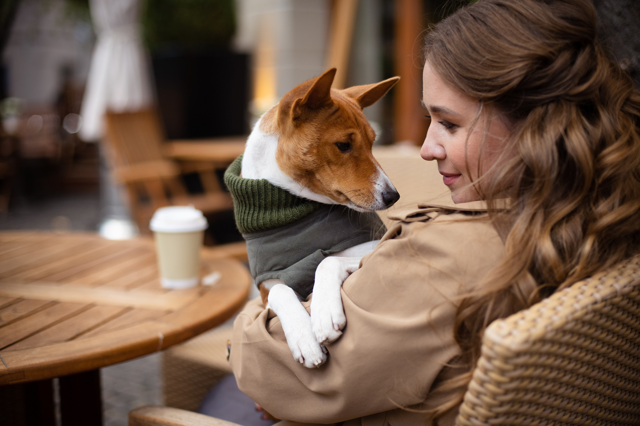 Мила и Раф. Патриаршие пруды. Фотограф-анималист, Brand-фотограф в Москве Евгения Кононенко