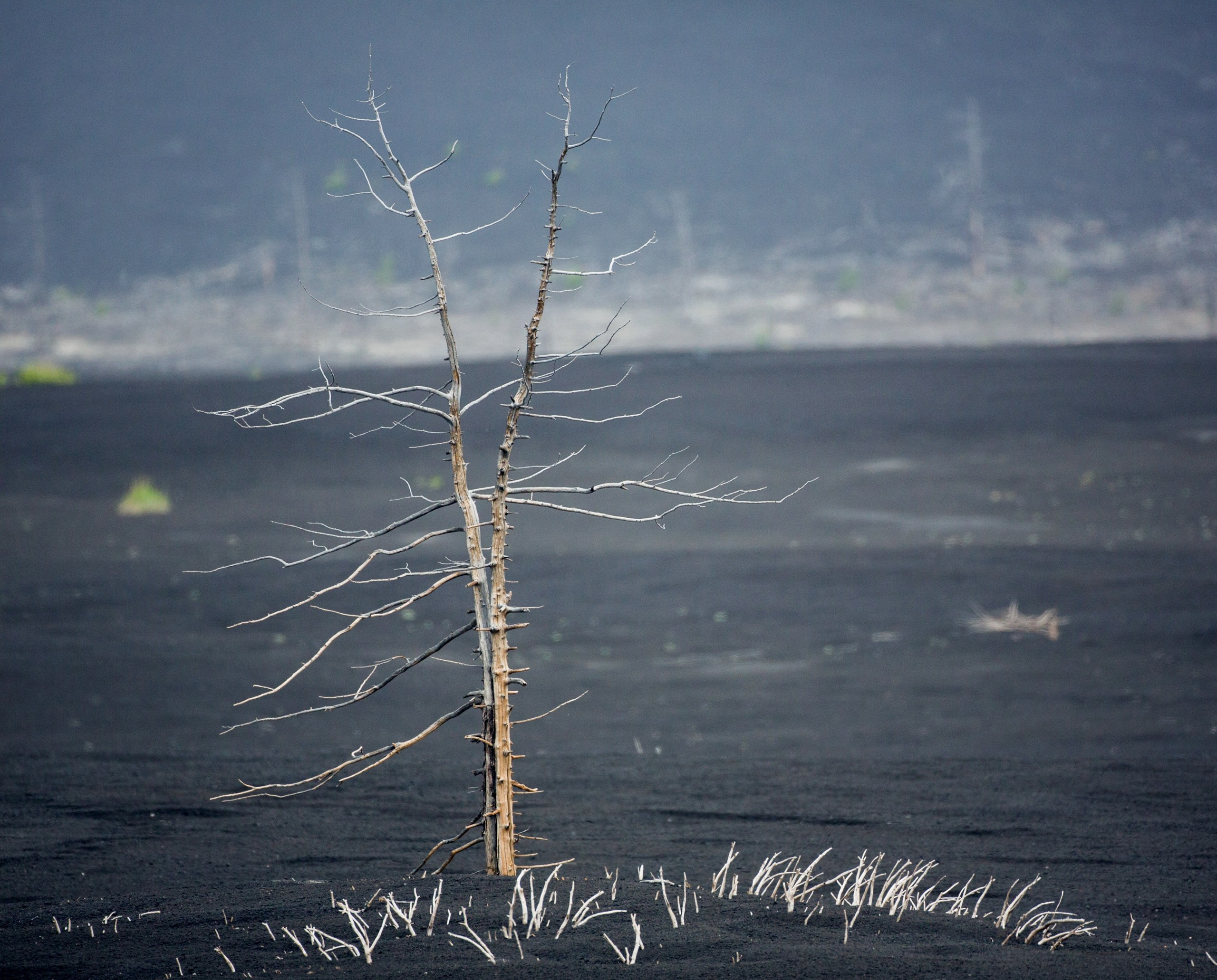 Камчатка. Фотограф Владимир Медведев