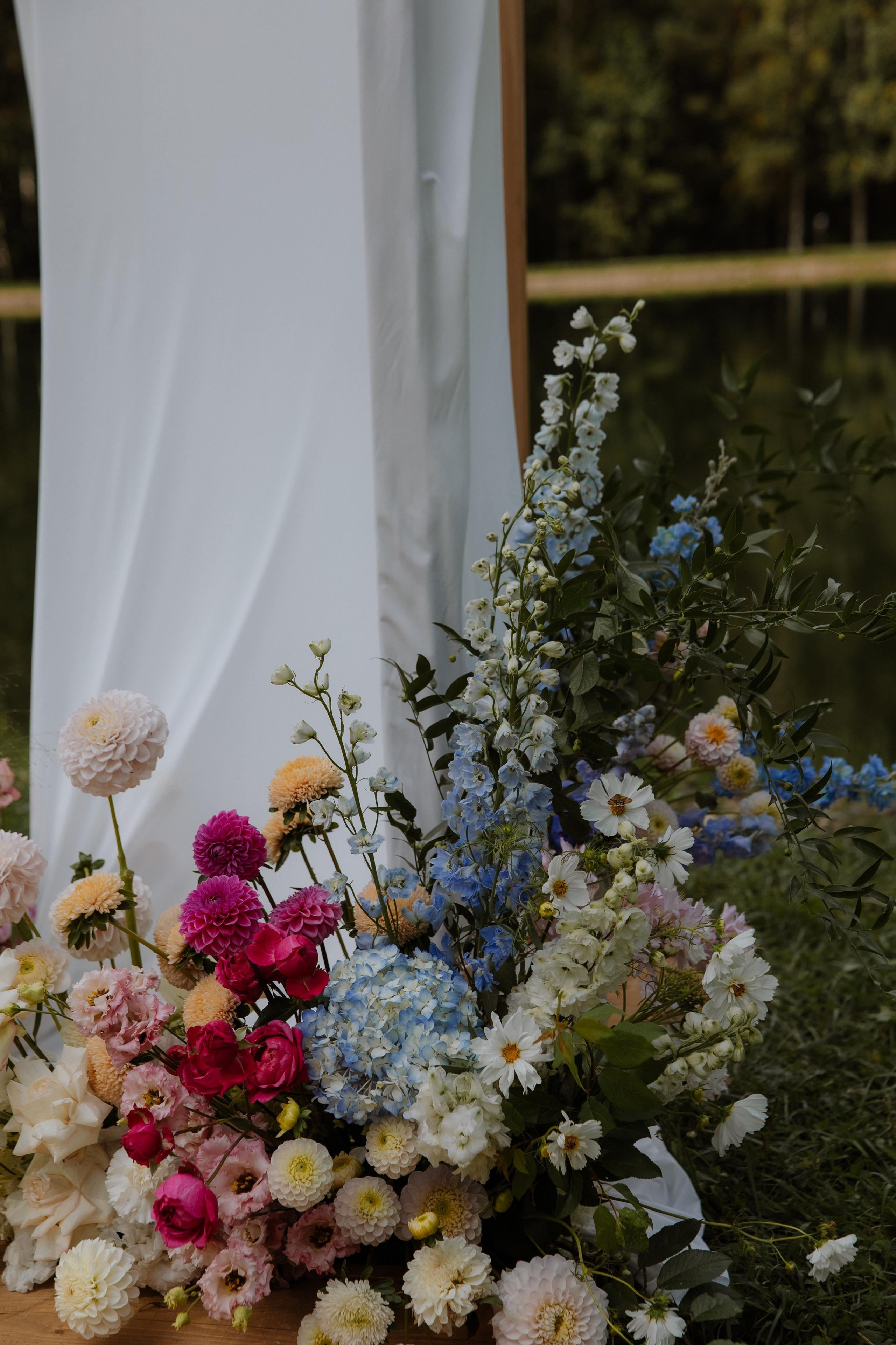 Александр & Сарвиназ