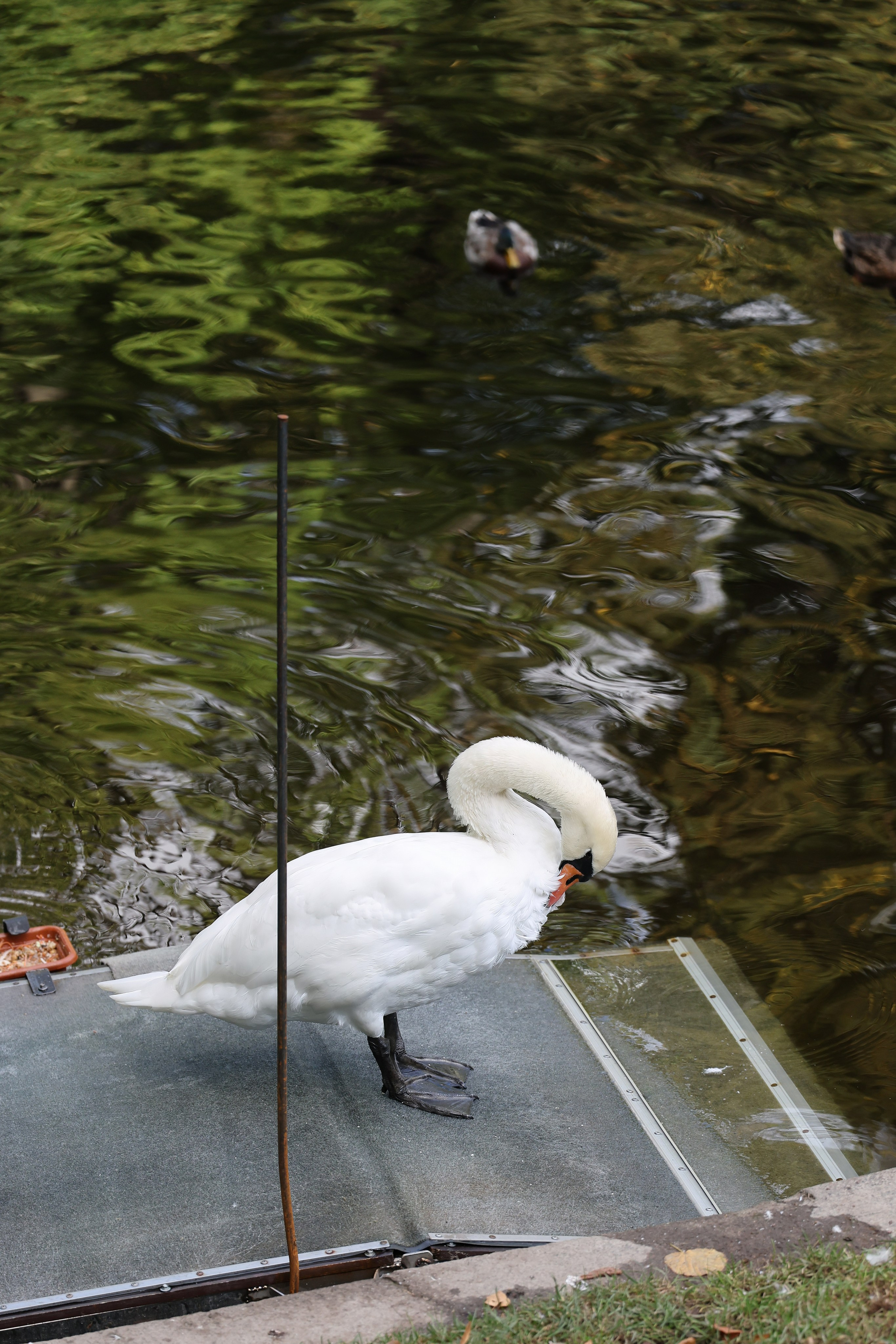 Это Питер, детка. Добро пожаловать в студию «Цифровой скульптор»  где искусство встречается с технологиями!