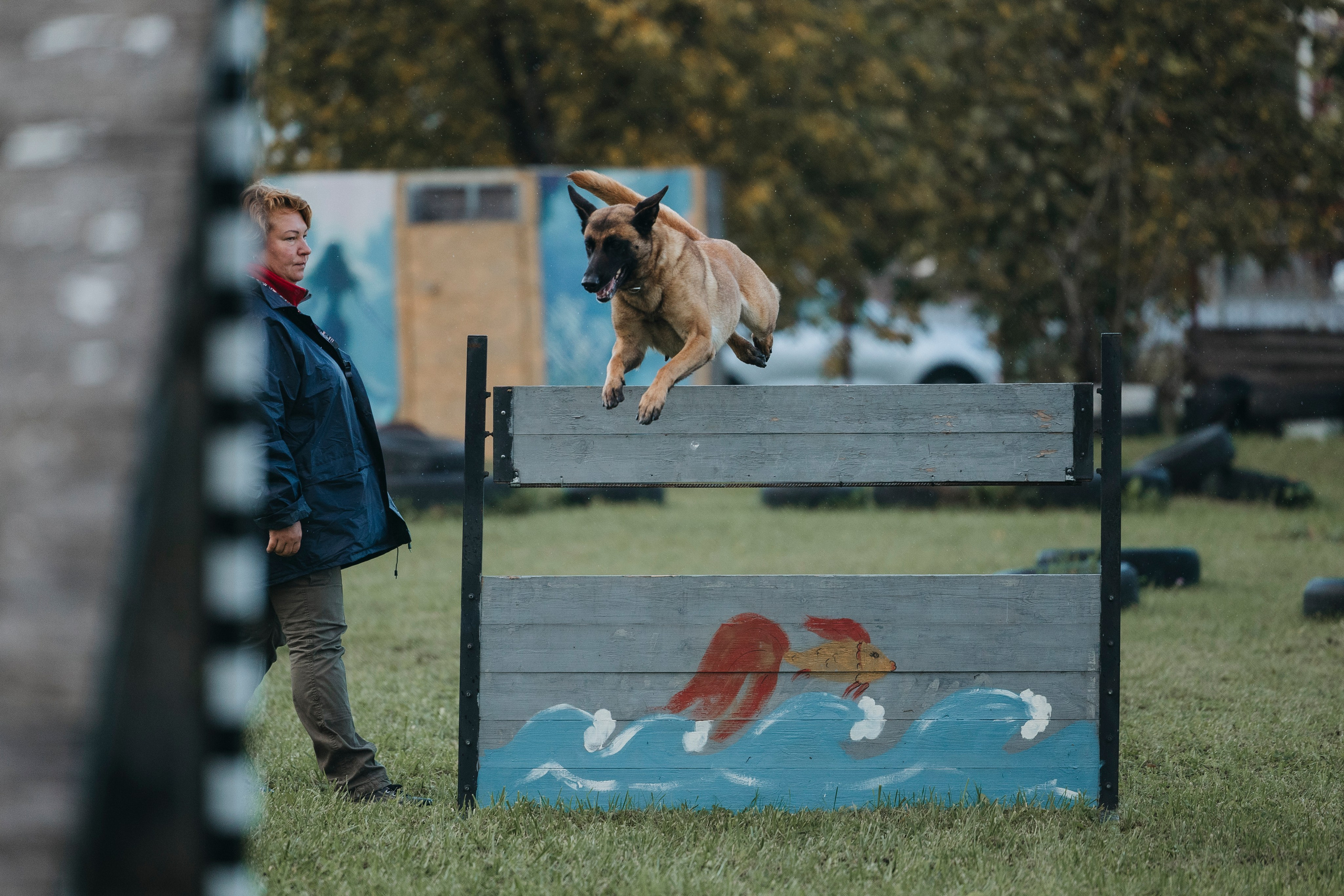 Испытания по мондьорингу г. Пушкин 29.09.2024. Фотограф-анималист Анна Маринич