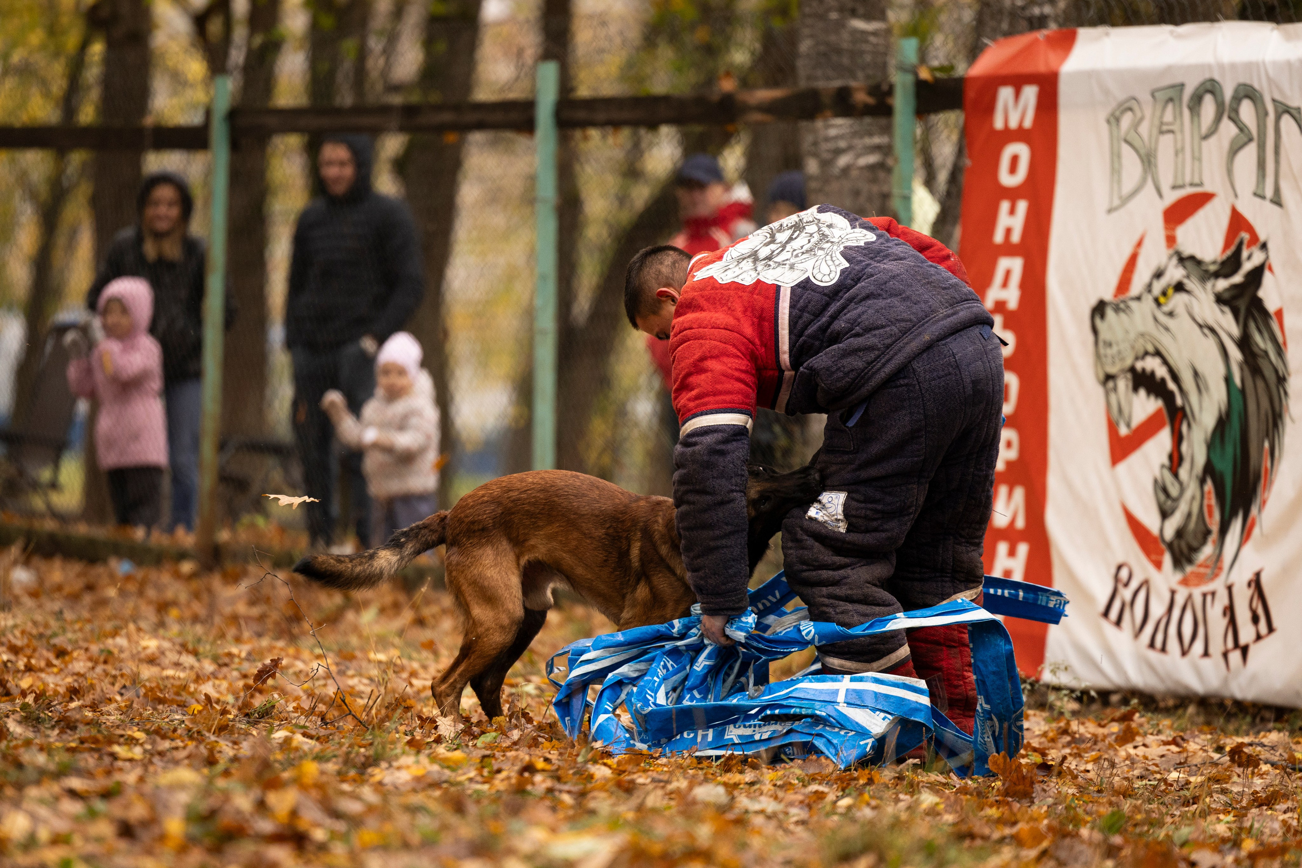 Соревнования по Мондьорингу г. Вологда. Фотограф-анималист Анна Маринич