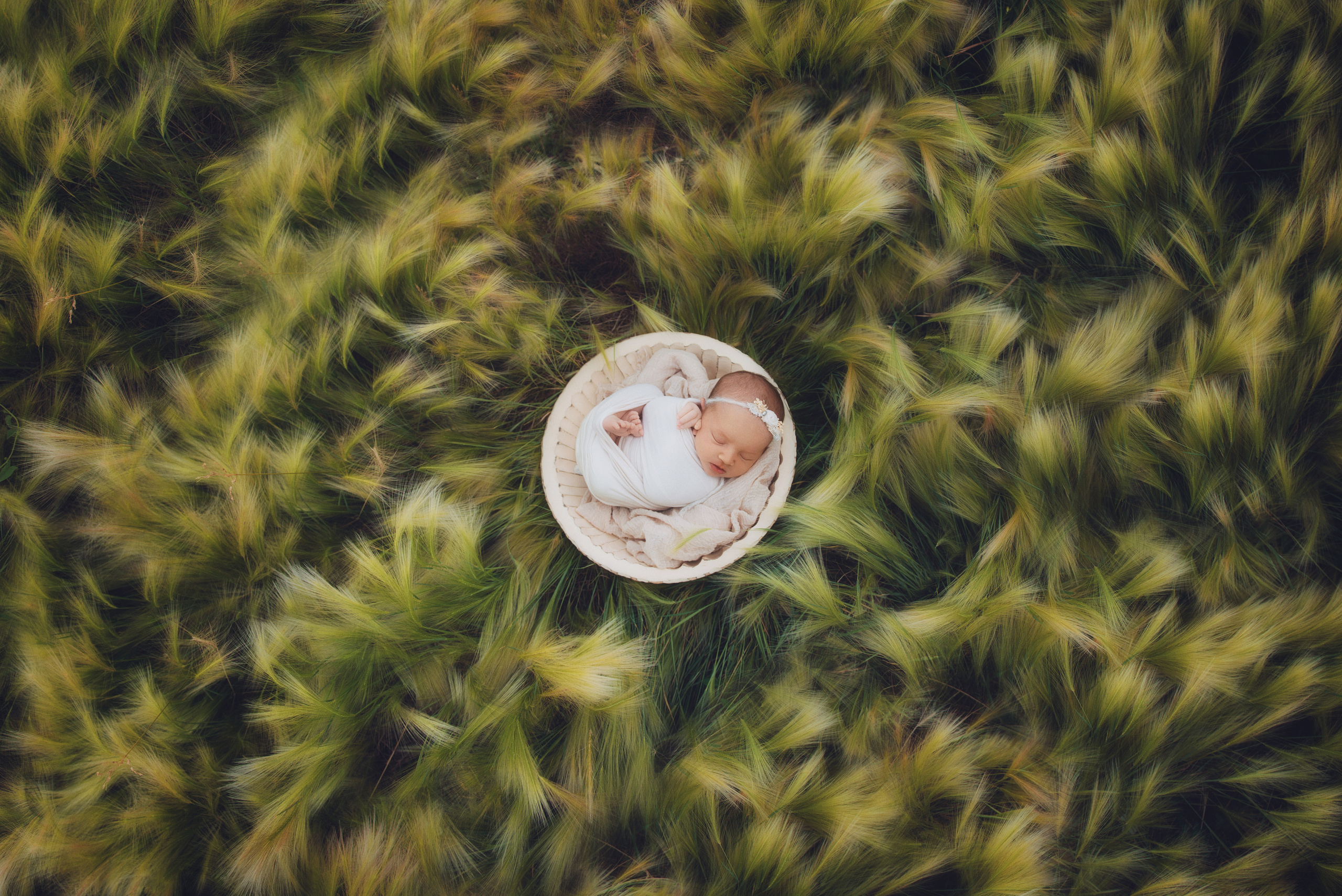 Фотосъемка новорожденного. Фотограф беременности, новорожденных и детей до года в Челябинске Волк