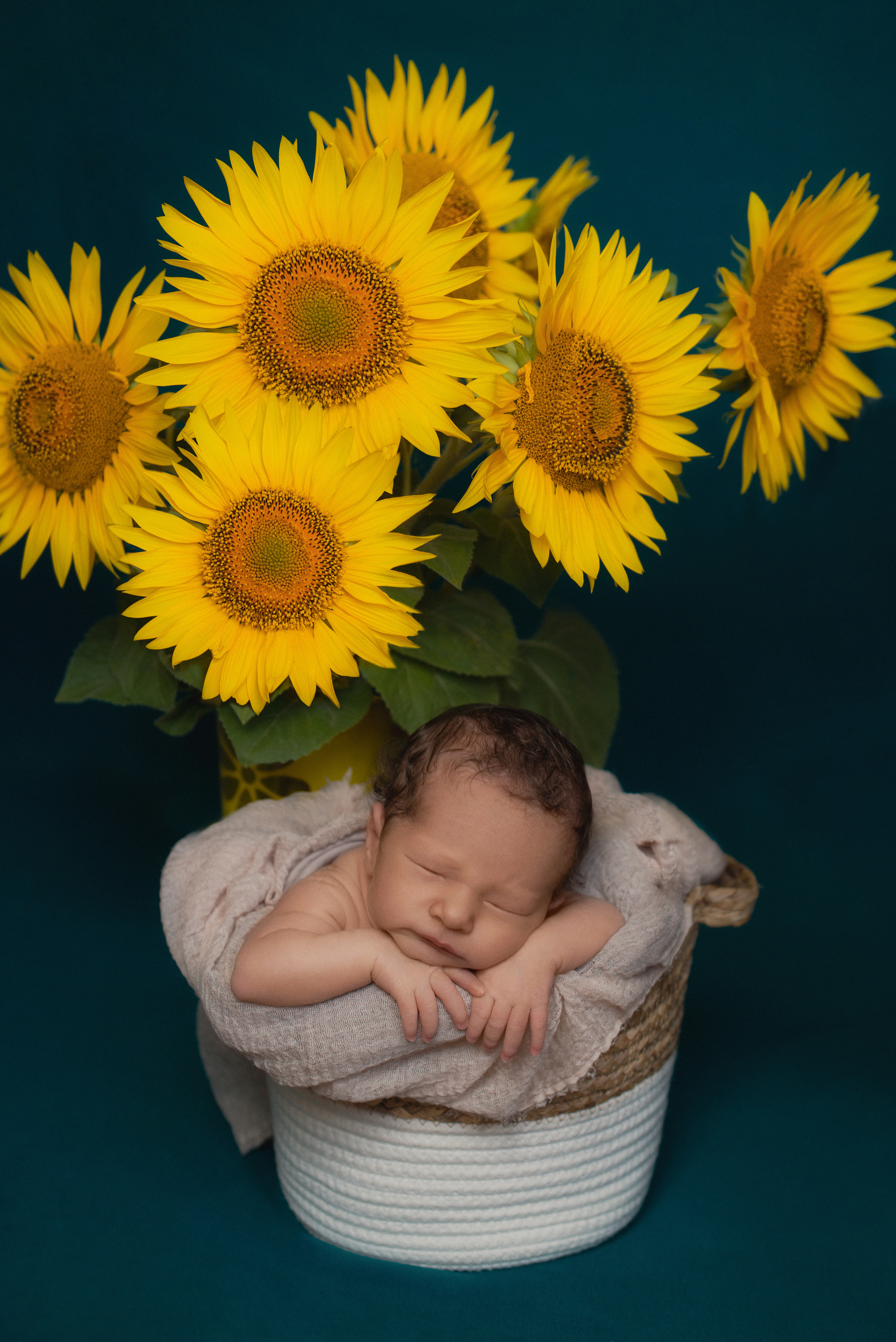 Фотосъемка новорожденного. Фотограф беременности, новорожденных и детей до года в Челябинске Волк