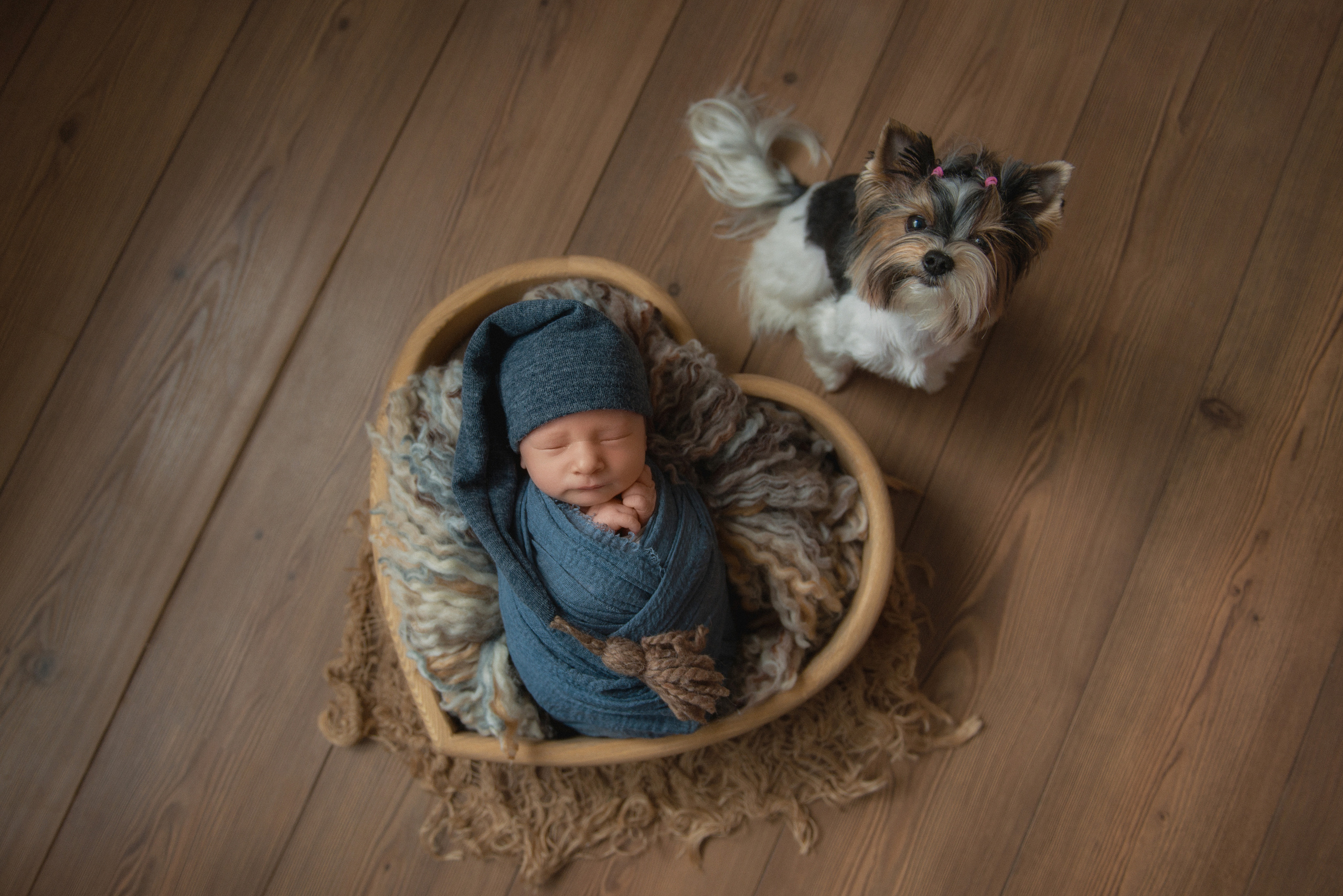Фотосъемка новорожденного. Фотограф беременности, новорожденных и детей до года в Челябинске Волк