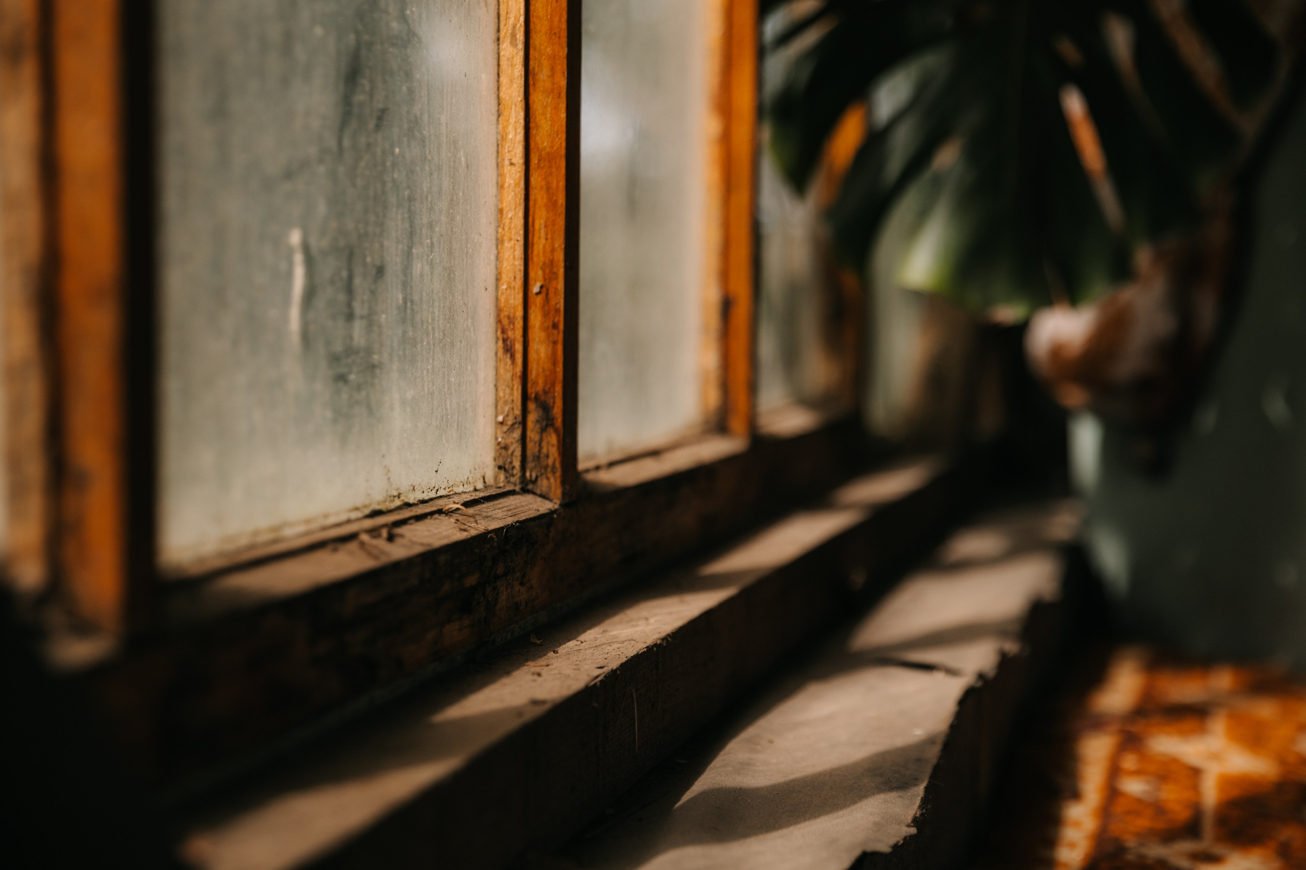 Ферма. Свадебный и семейный фотограф Василина Батищева в Моздоке, Северной Осетии и КМВ