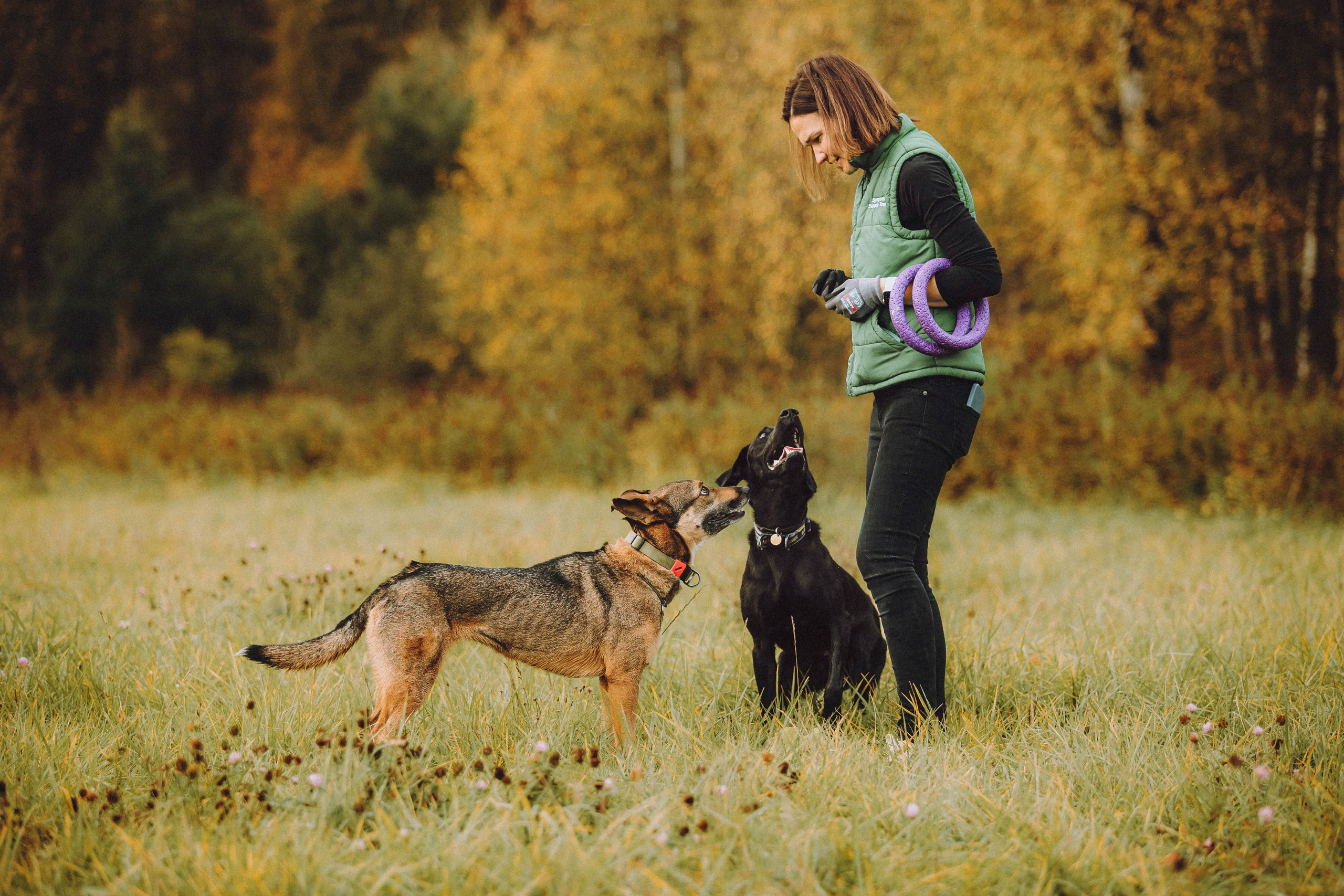 Аня, Нео и Луна