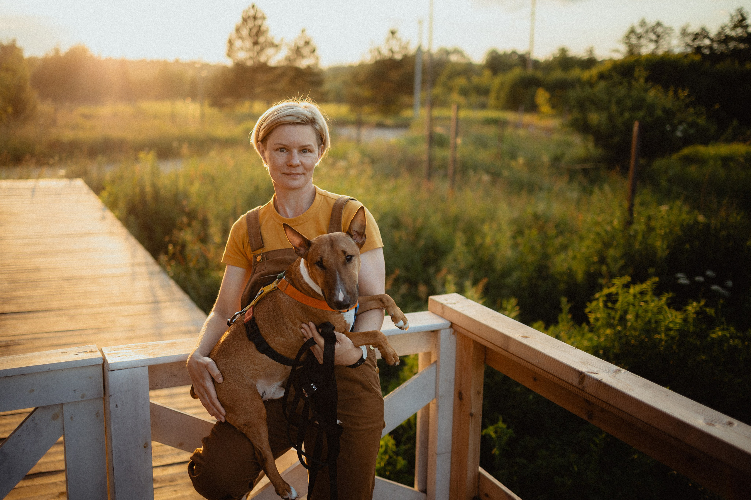 Выездной дог-тренинг от школы «Шерсть имею»