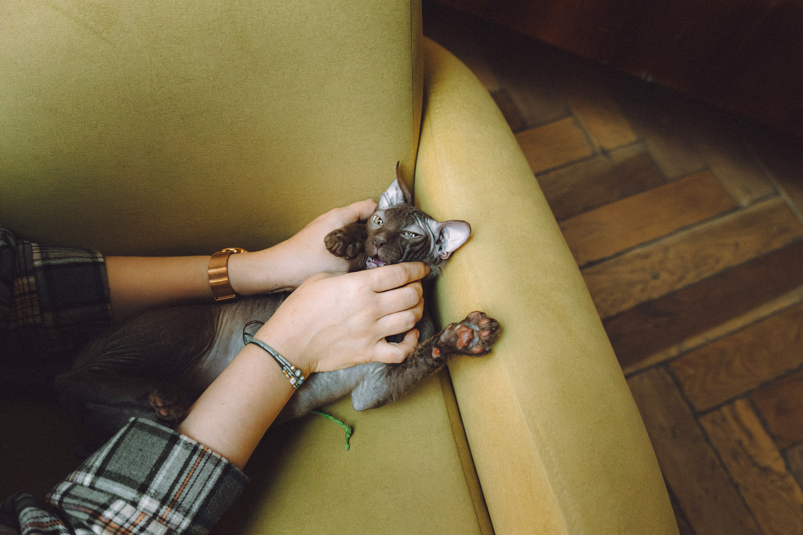 Кокос, Света, Динара и Вилли