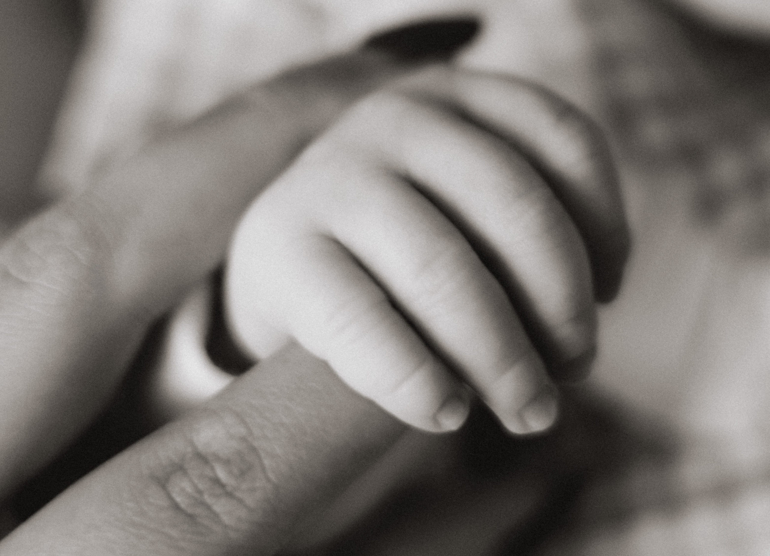 Miay. Свадебный и семейный фотограф в Краснодаре Диана Смирнова