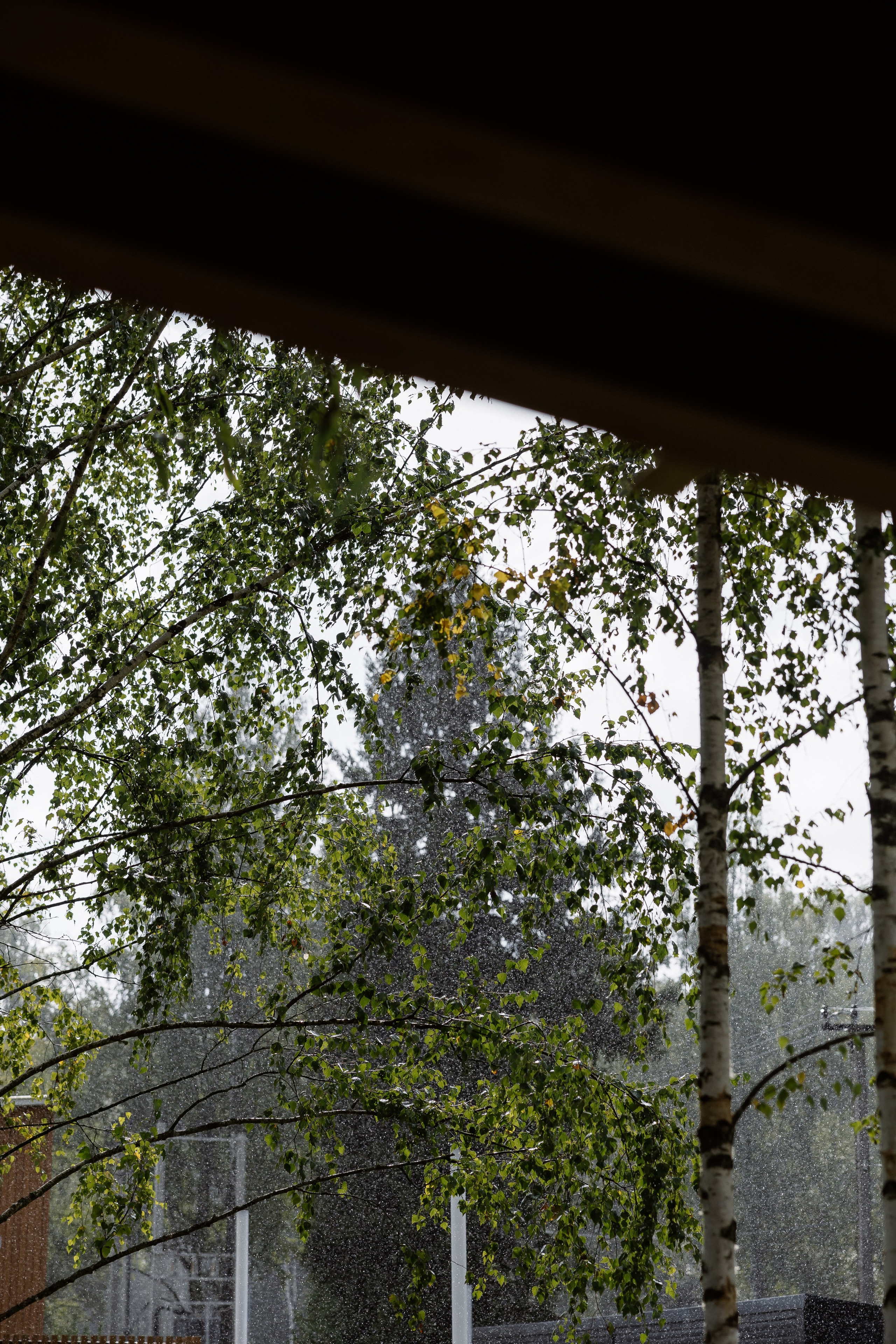 Эмилия & Тимур. RETOUCH-HOUSE