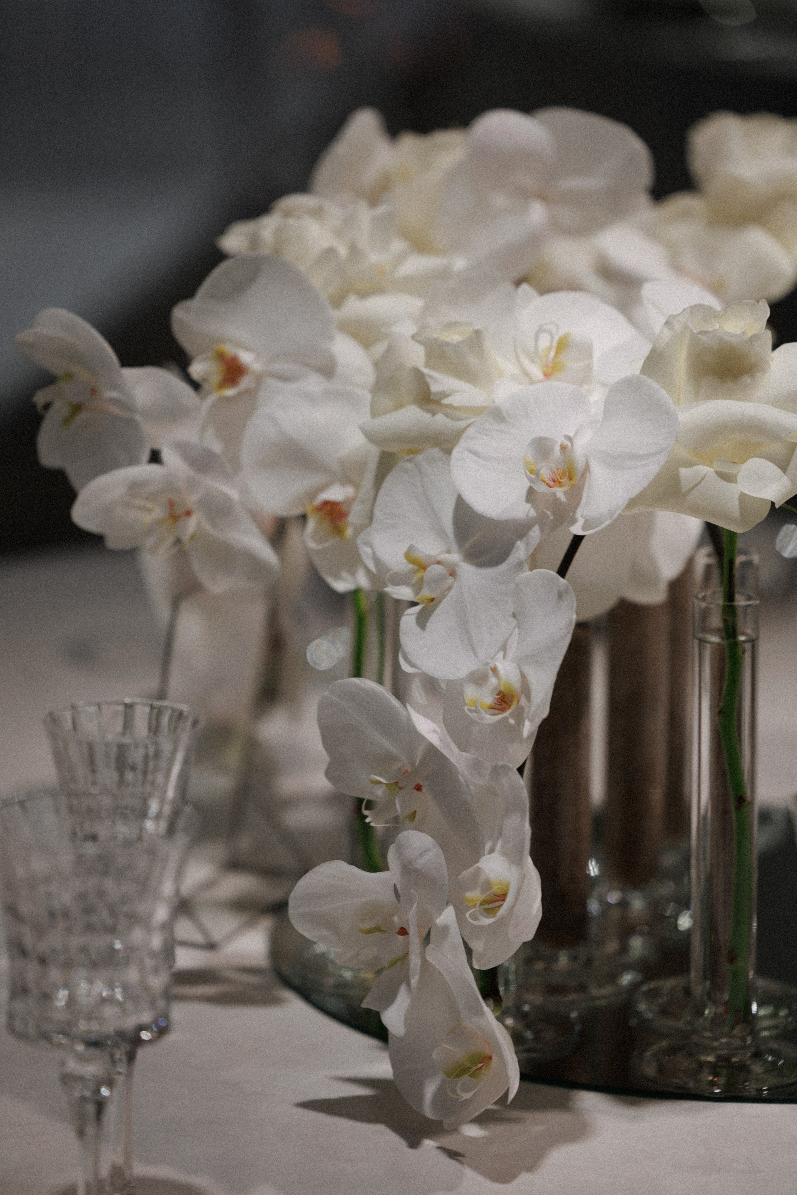 Филипп & Саша. RETOUCH-HOUSE