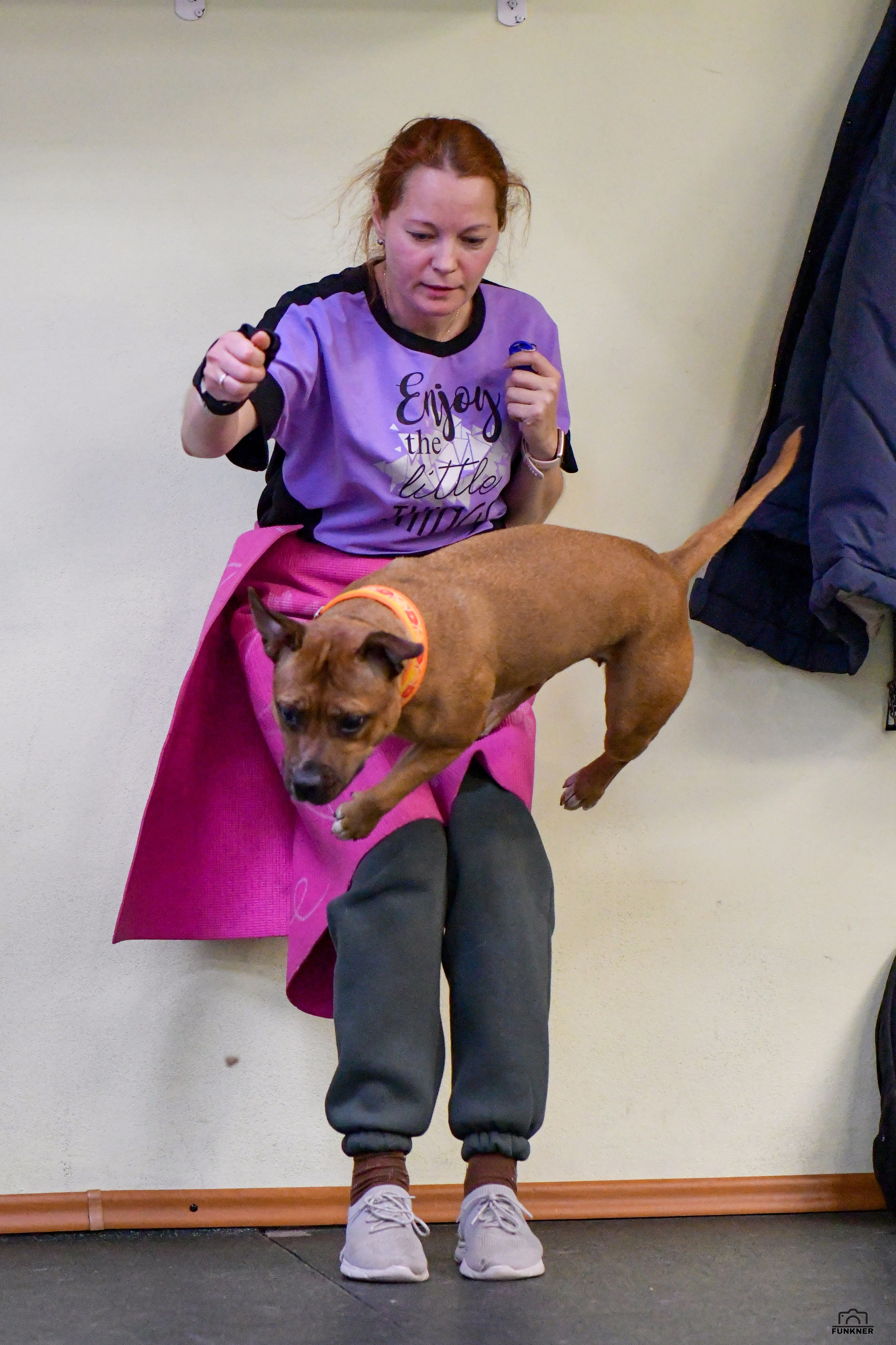 Кинологический клуб «Бодрый хвост». Свой взгляд через объектив