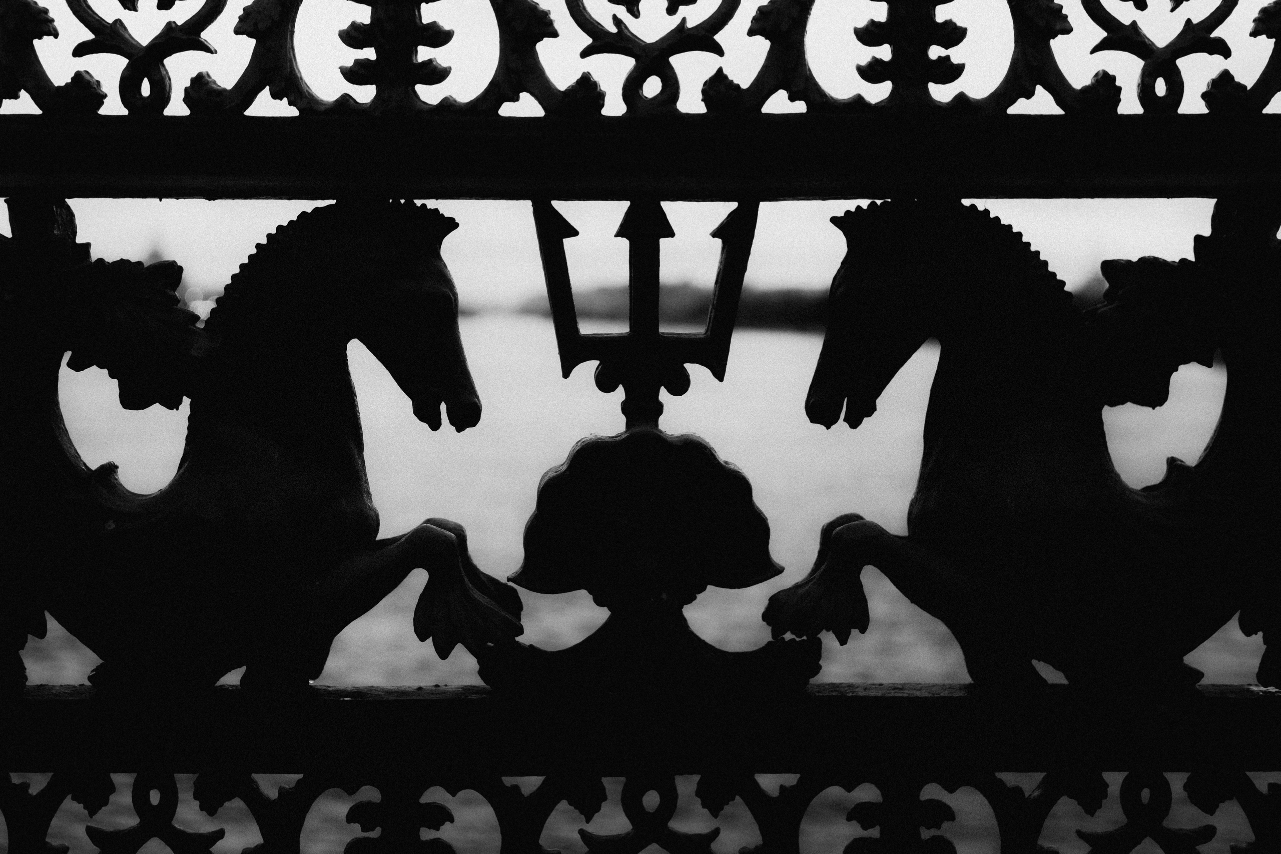 № 17. WAYHAY — Портретный фотограф