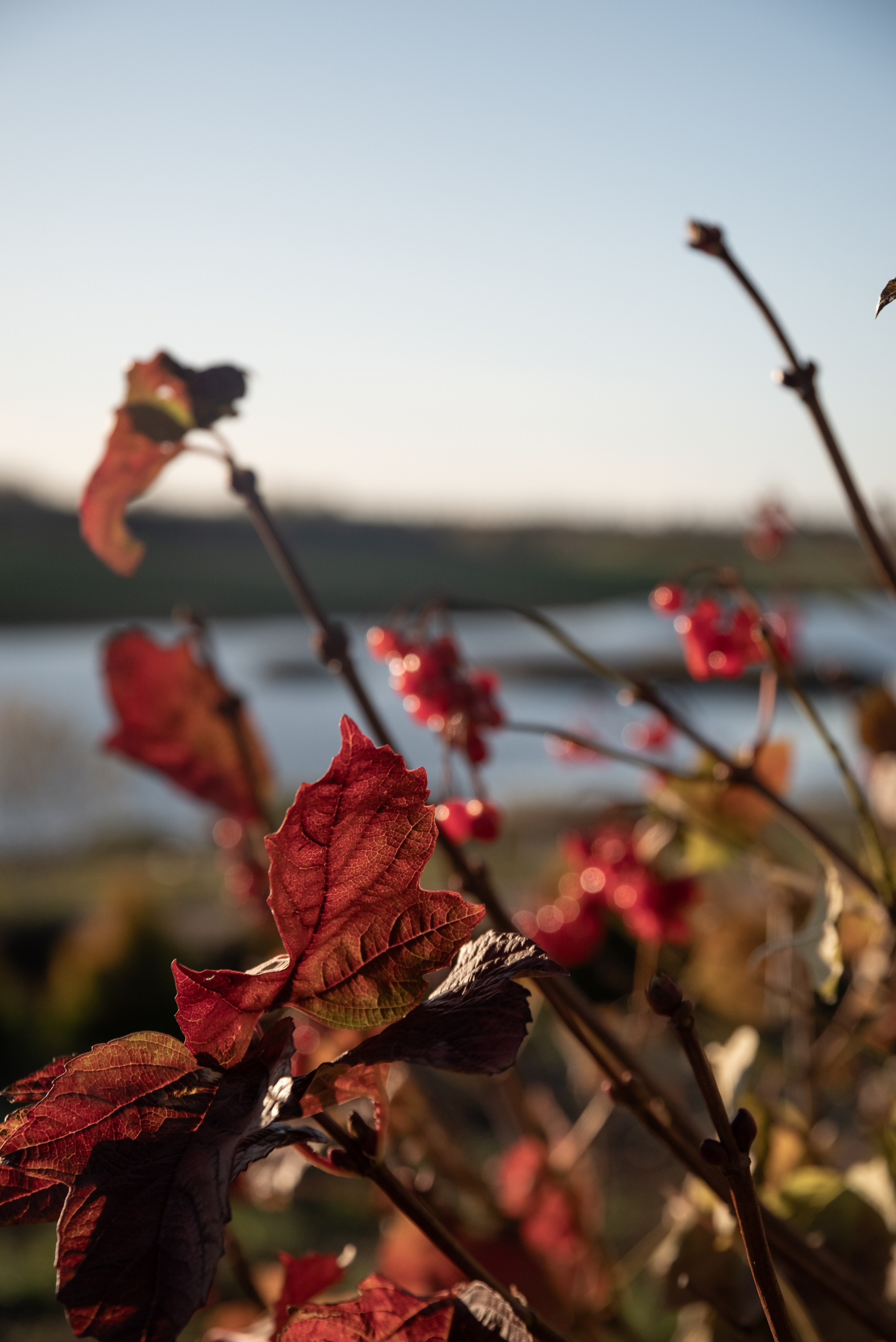 Корпоратив и оформление фотозоны в стиле ранчо). Фотограф Светлана Воронцова