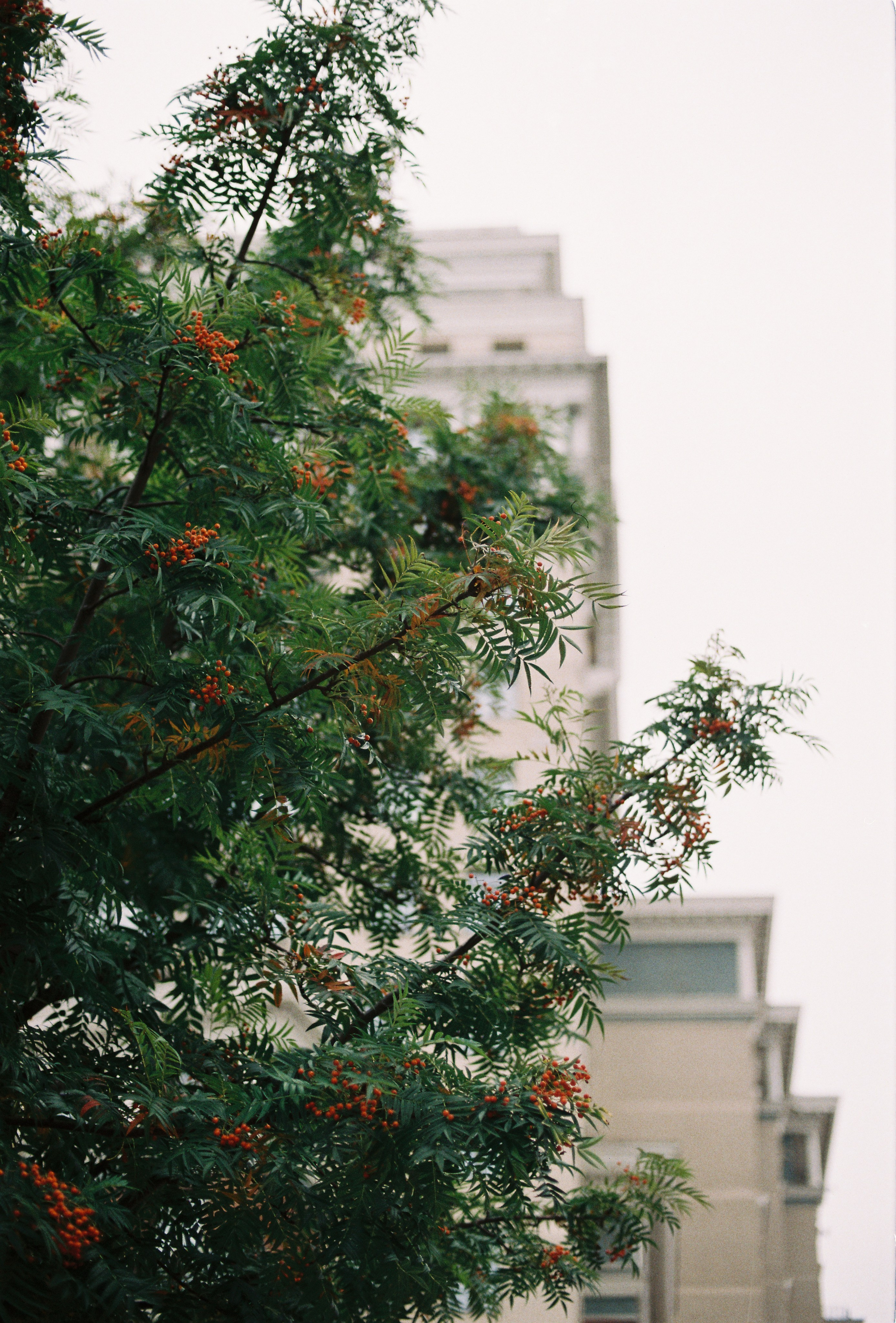 2024. Марфин. Фотограф