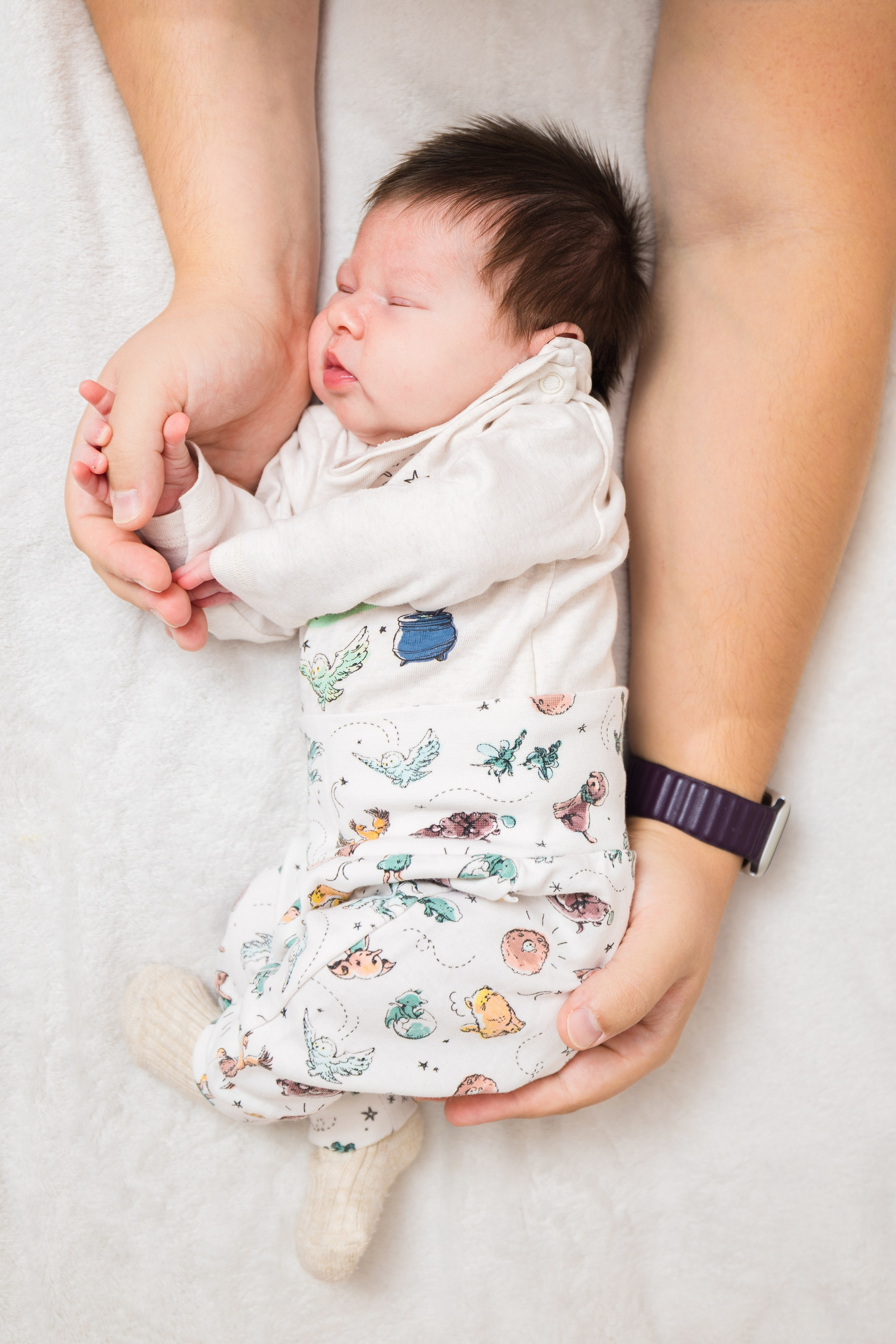 Newborn. Photomantis