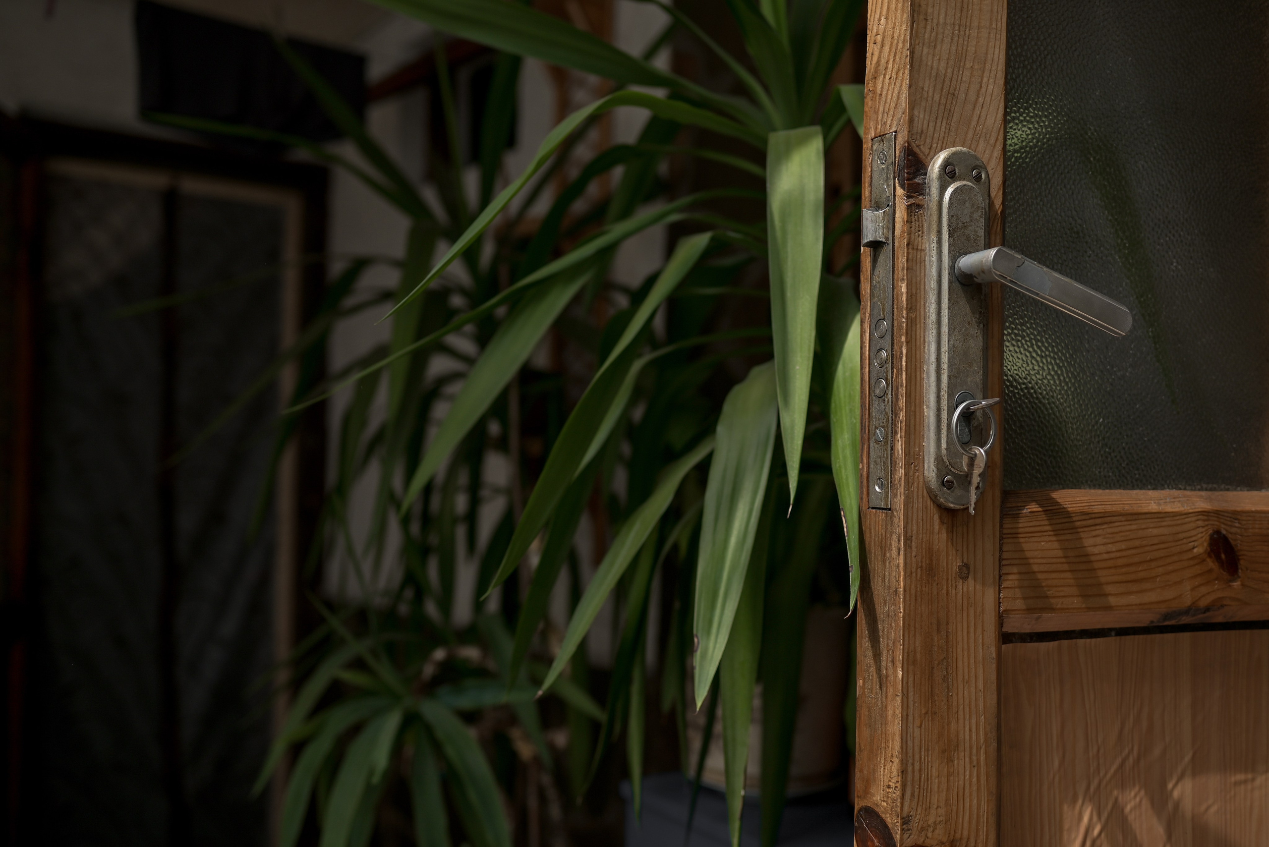 Николай Анастасия. Свадебный фотограф Анна Хочева