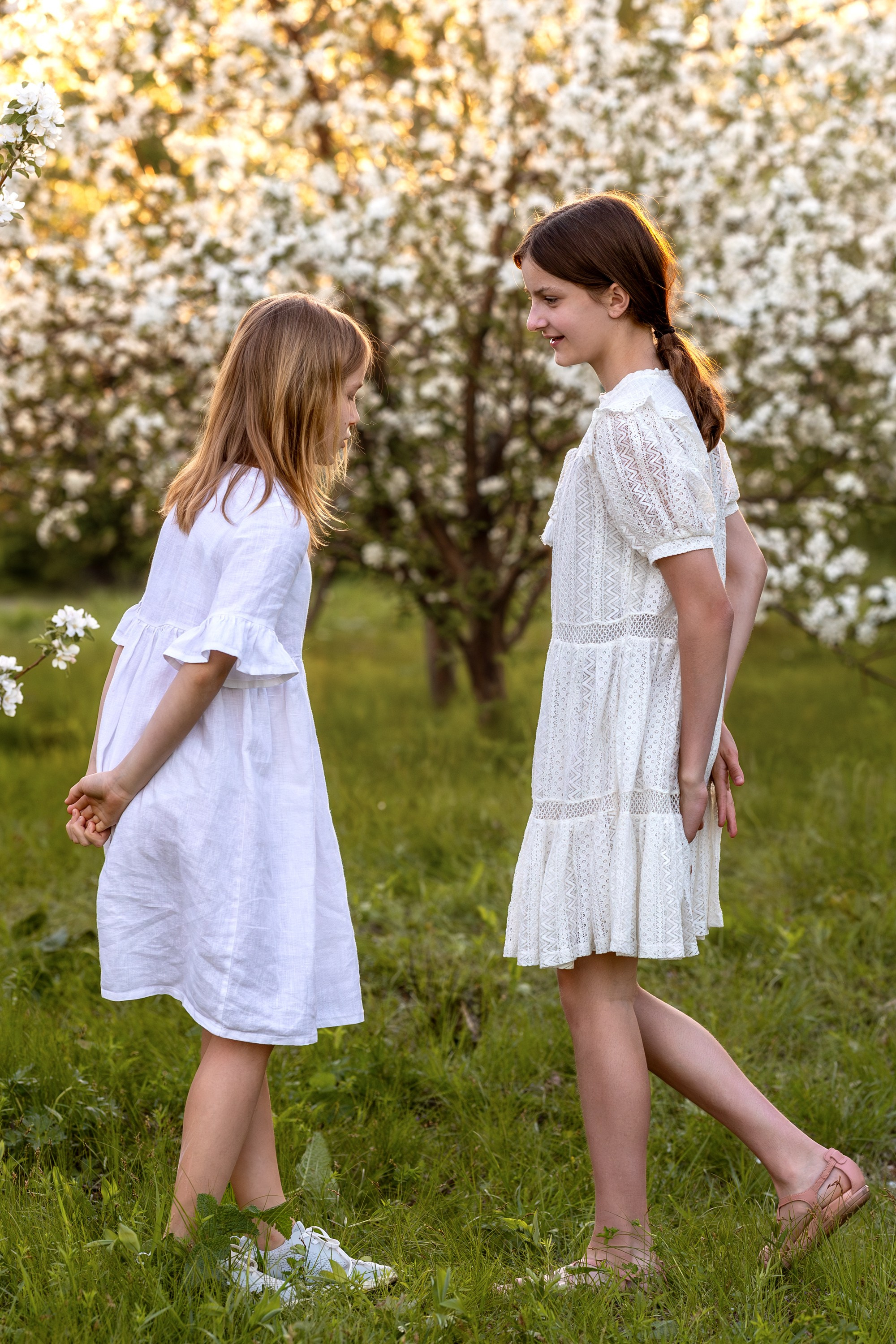 Яблоневый сад. Семейный и детский фотограф в Красноярске, Дивногорцева Светлана
