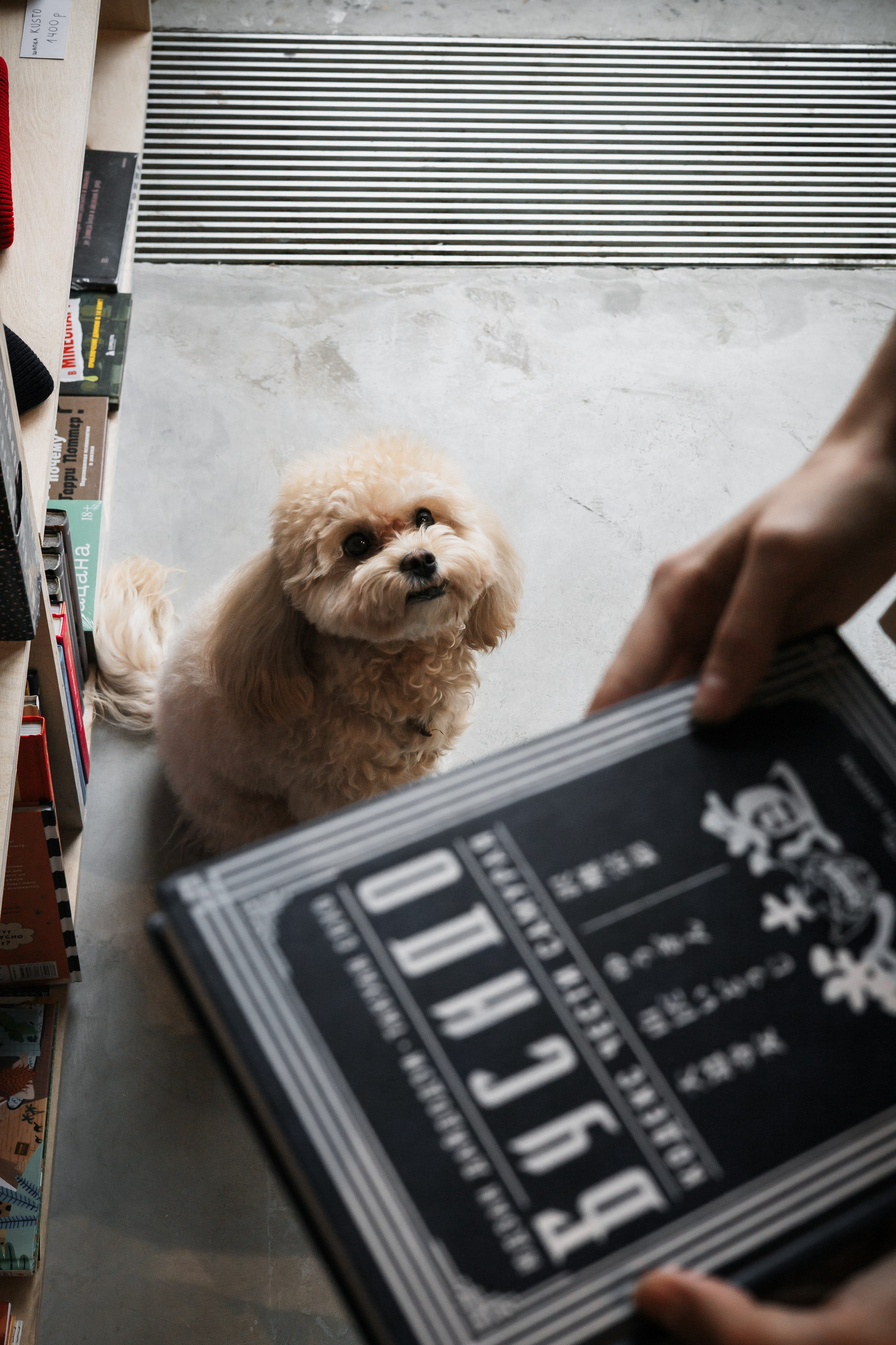 Алина — прогулка