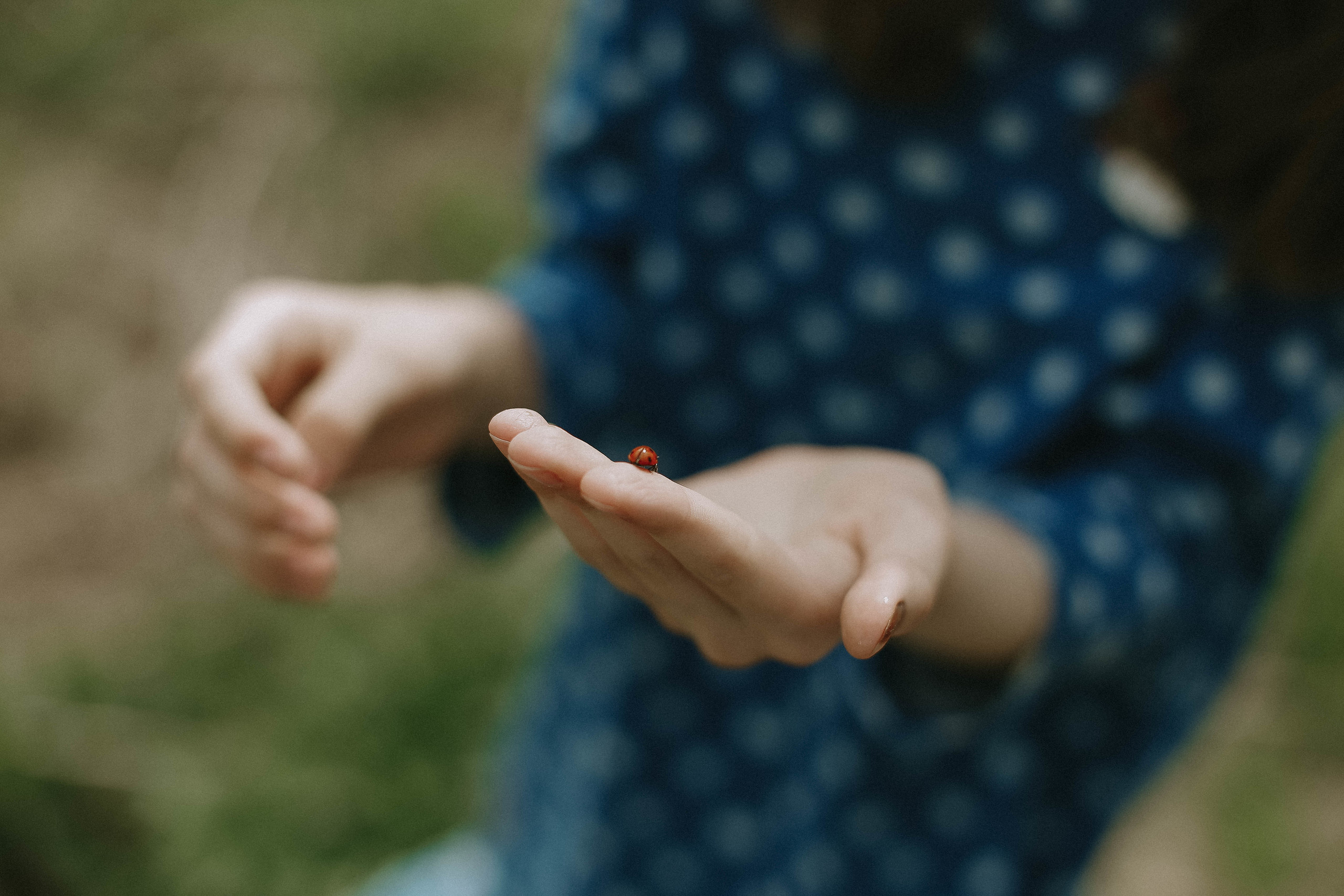 Цветы жизни. Свадебный фотограф Татьяна Курганская