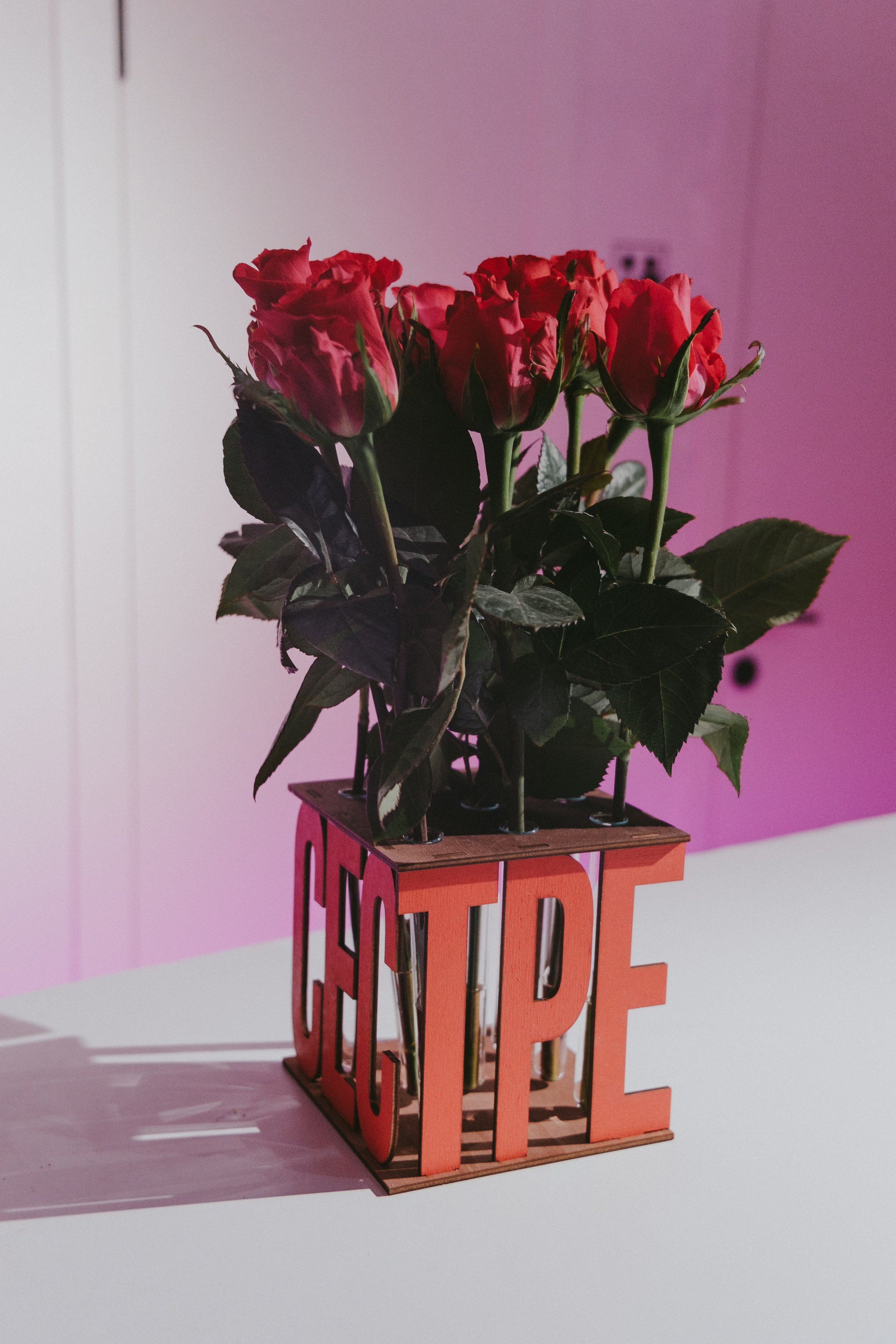 ДР Кати. Свадебный фотограф в Москве и Подмосковье Виктор Одинцов