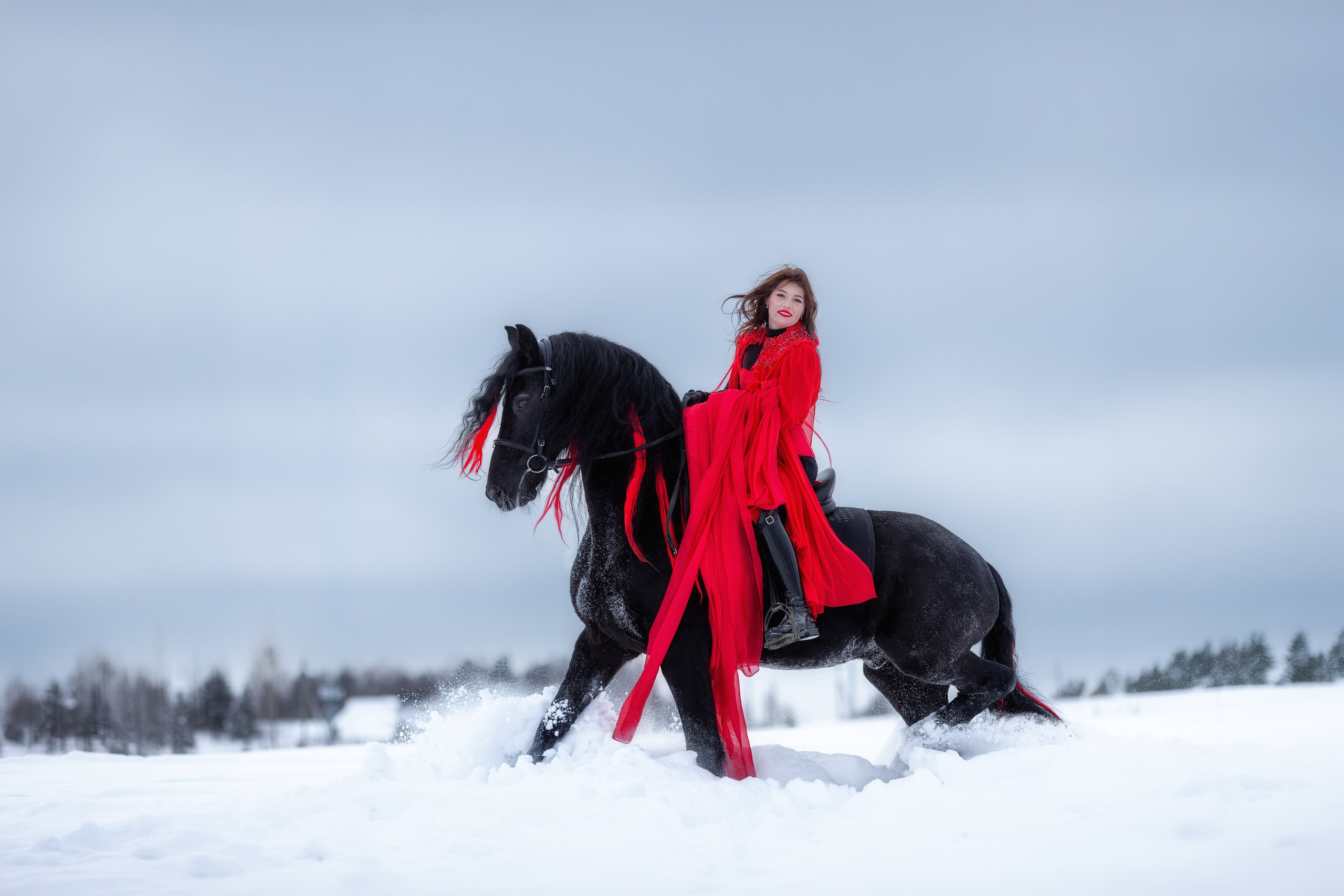 Фотосессия с лошадью зимой. Фотосессии с лошадьми в Москве от фотографа Кутейниковой Светланы