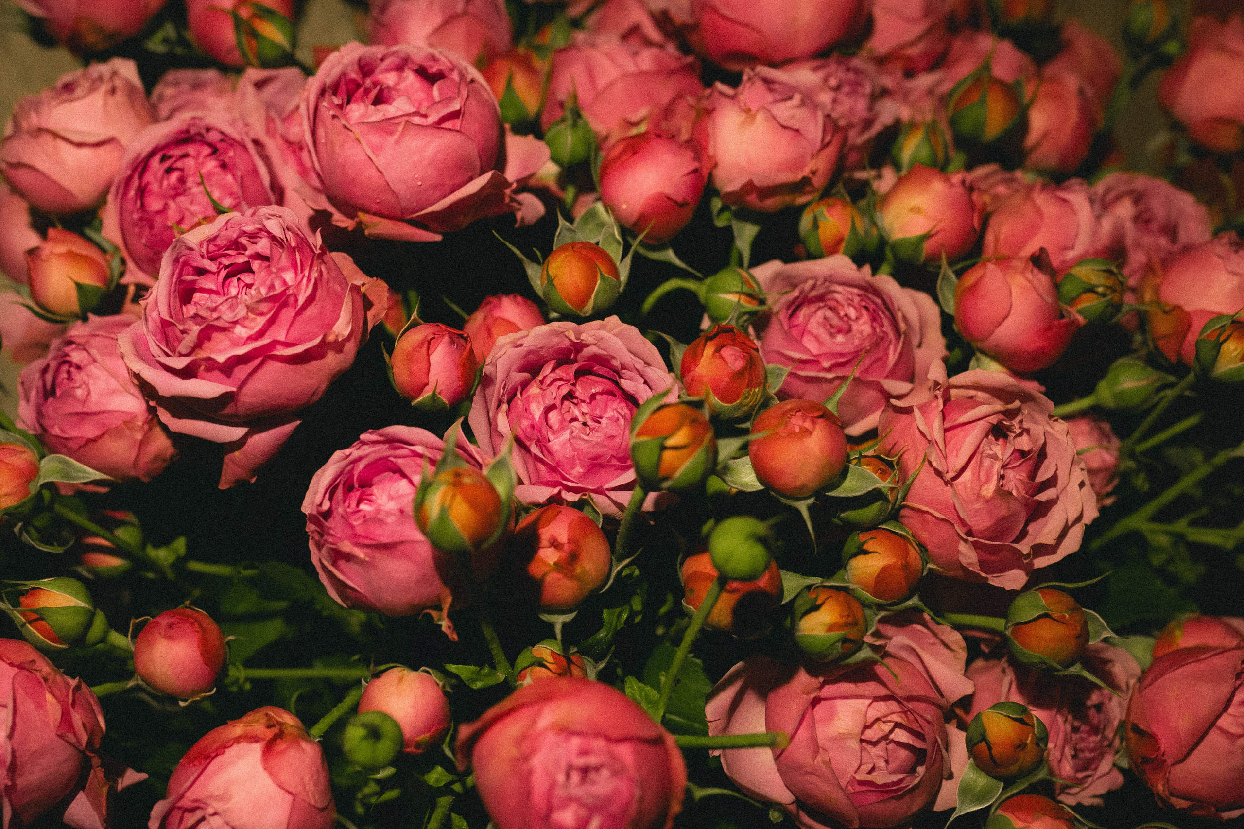 Бар Ardenne. 7 years. Евгений Матвеев — фотограф в Санкт-Петербурге