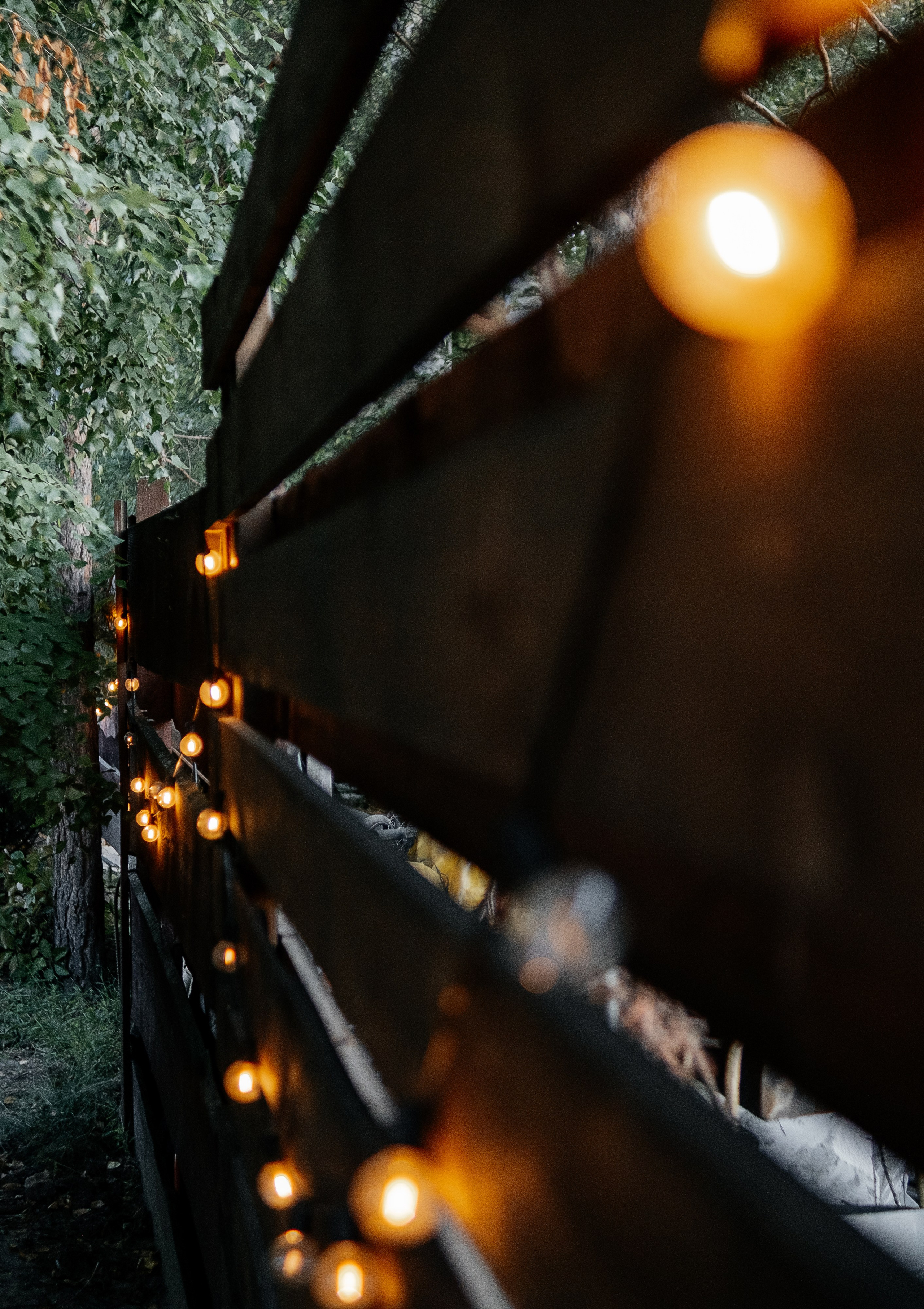 Степа_Вика. Свадебный и семейный фотограф Барнаул Рубцовск Бийск Алтайский край