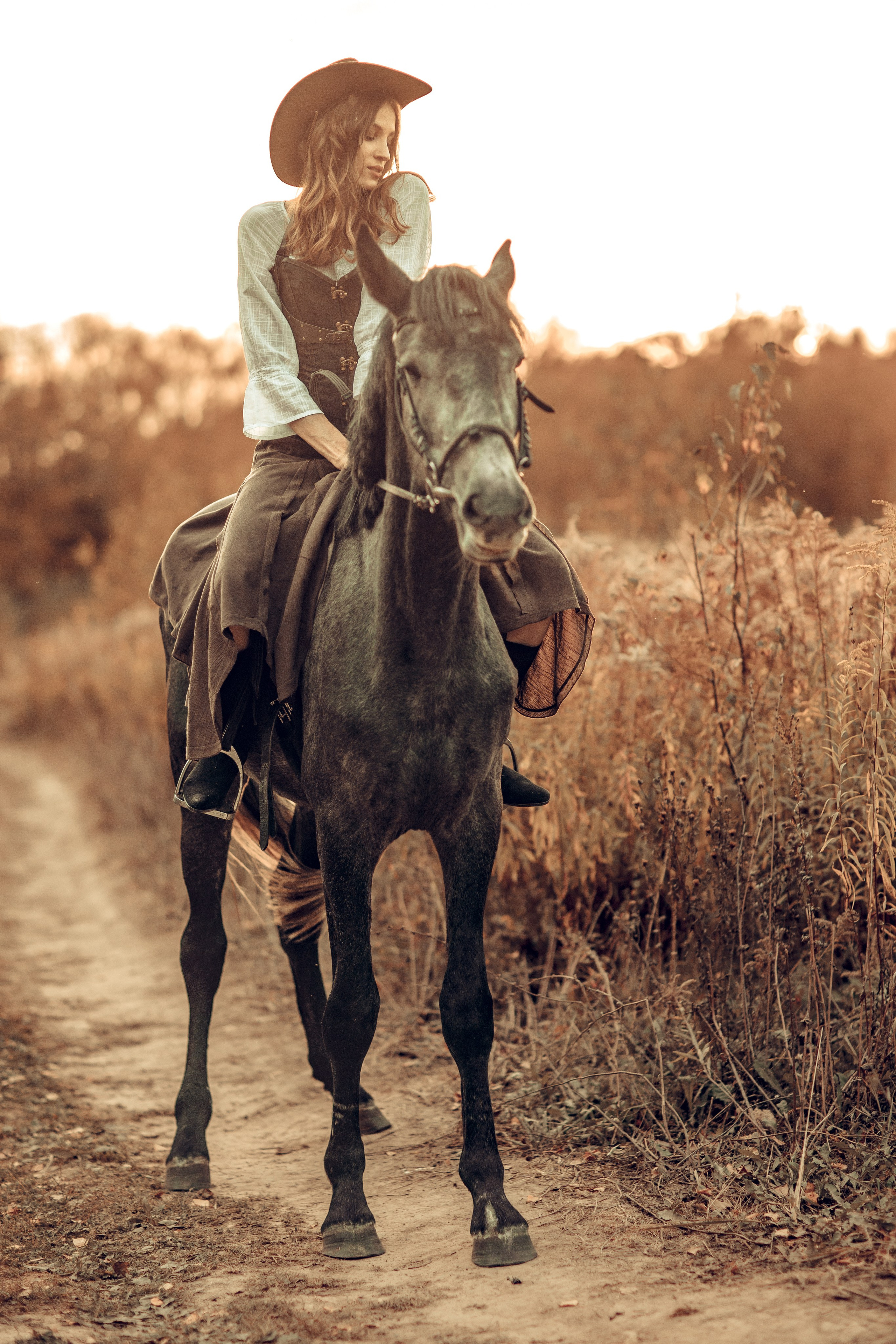 В поле с лошадьми. Профессиональный фотограф в Москве, Подмосковье