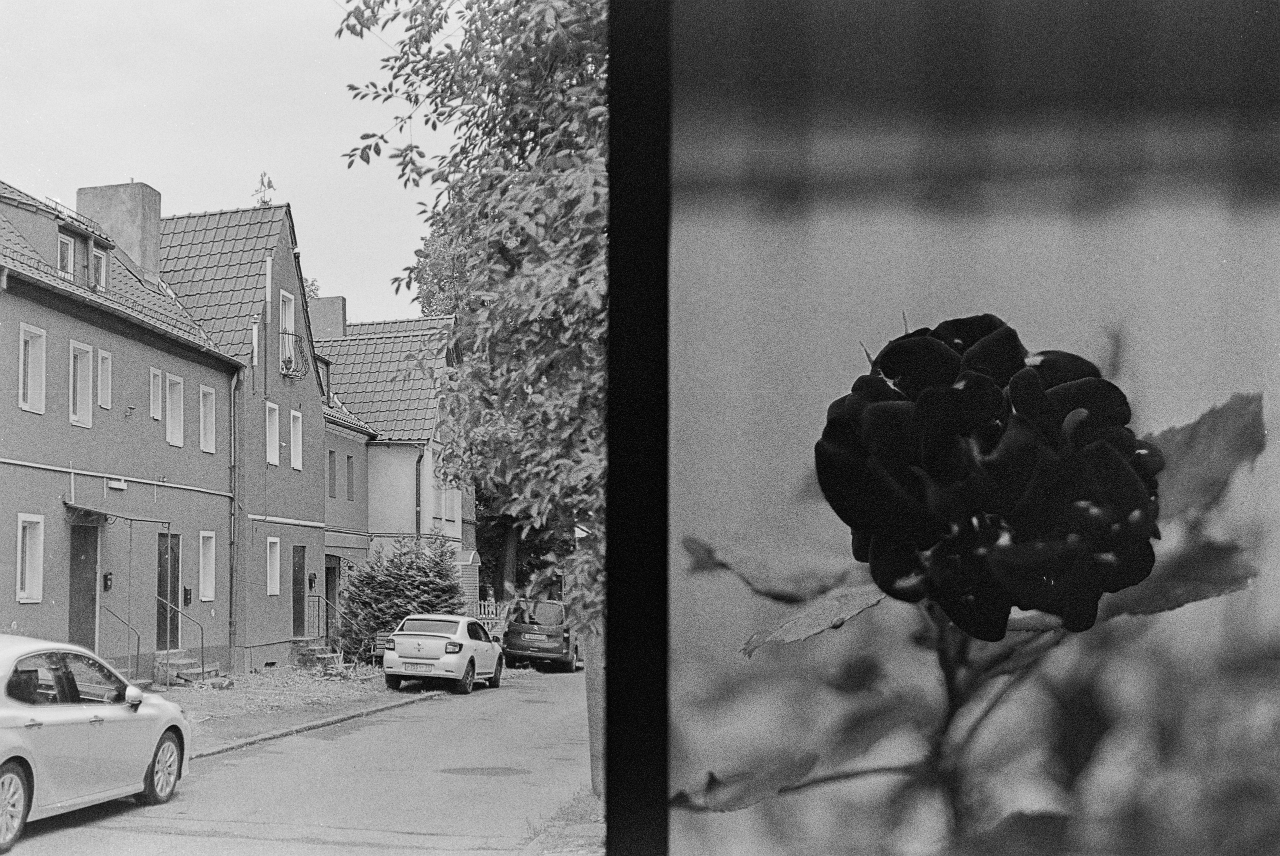 Olympus PEN FT — F.Zuiko Auto-S 38 mm f/1.8 / Kodak Color 200 plus (просрочка)