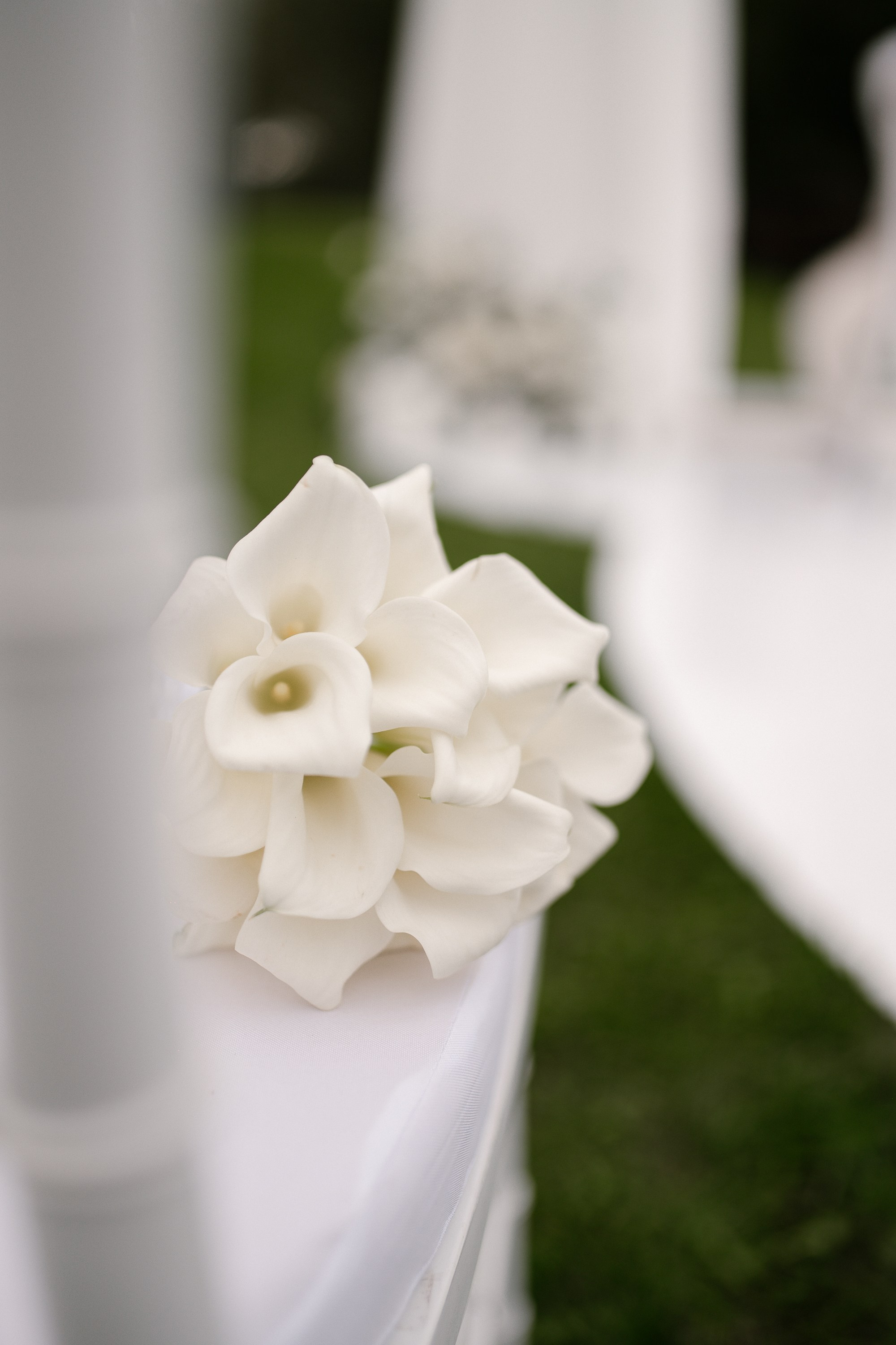 Даня и София. Свадебный и семейный фотограф в Коломне Мария Мусатова