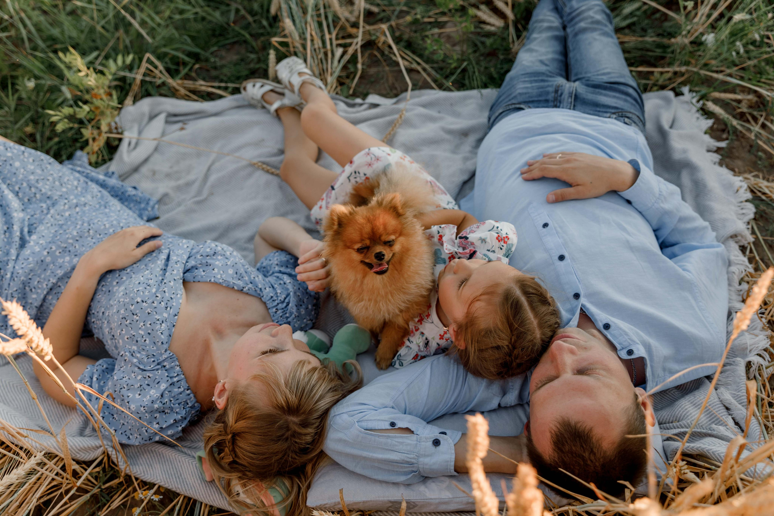 В поле. Свадебный фотограф Евгения Девиченская