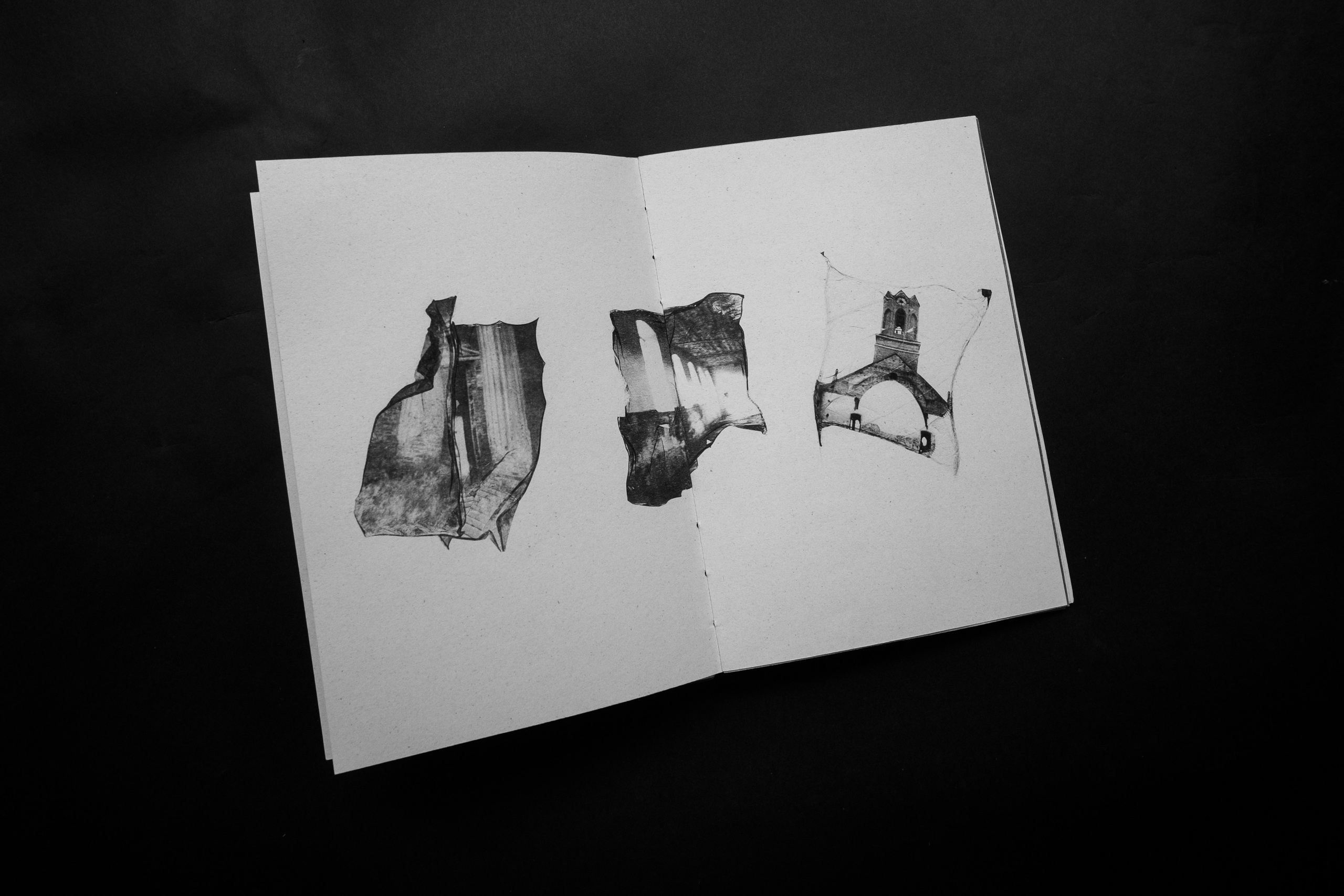 Эхо черемухи. Главная