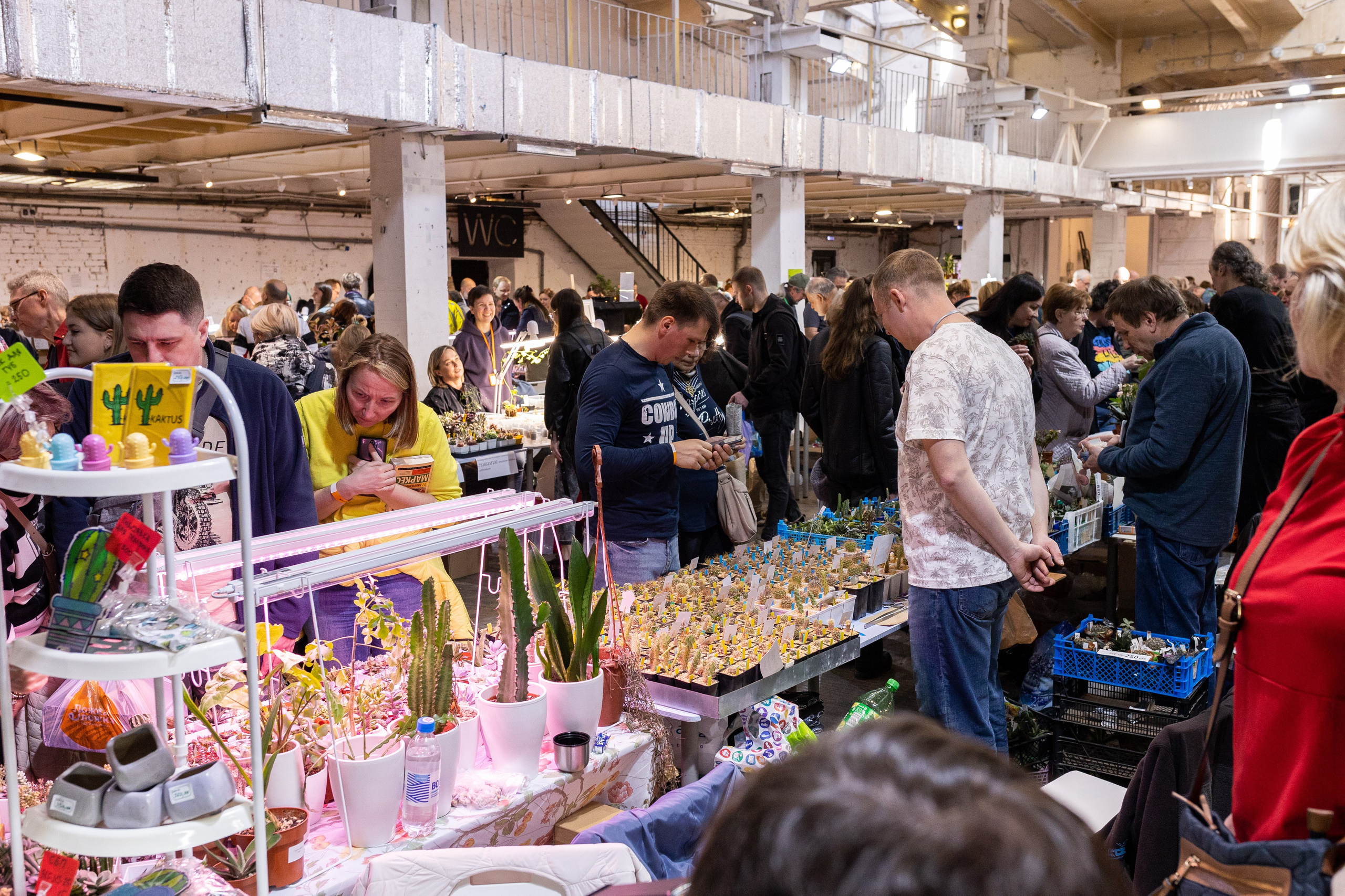 Meza market 2024. Александра Куликова фотограф, Москва