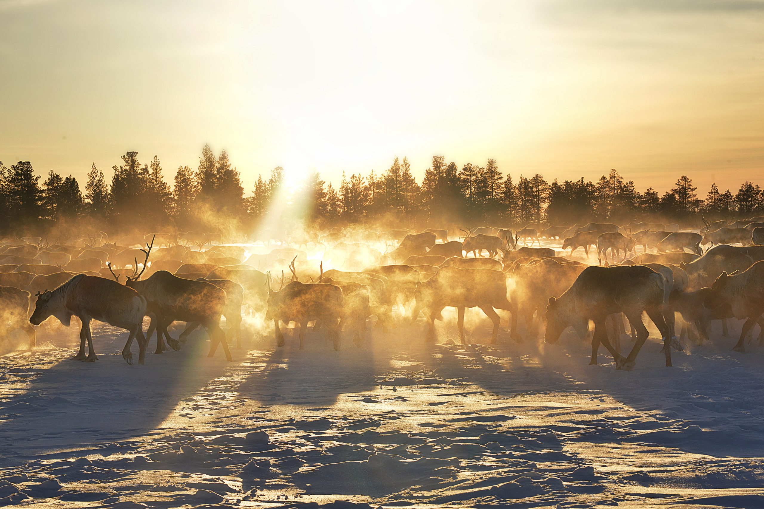 Travel. Фотограф Тверь, Москва Екатерина Григорьева